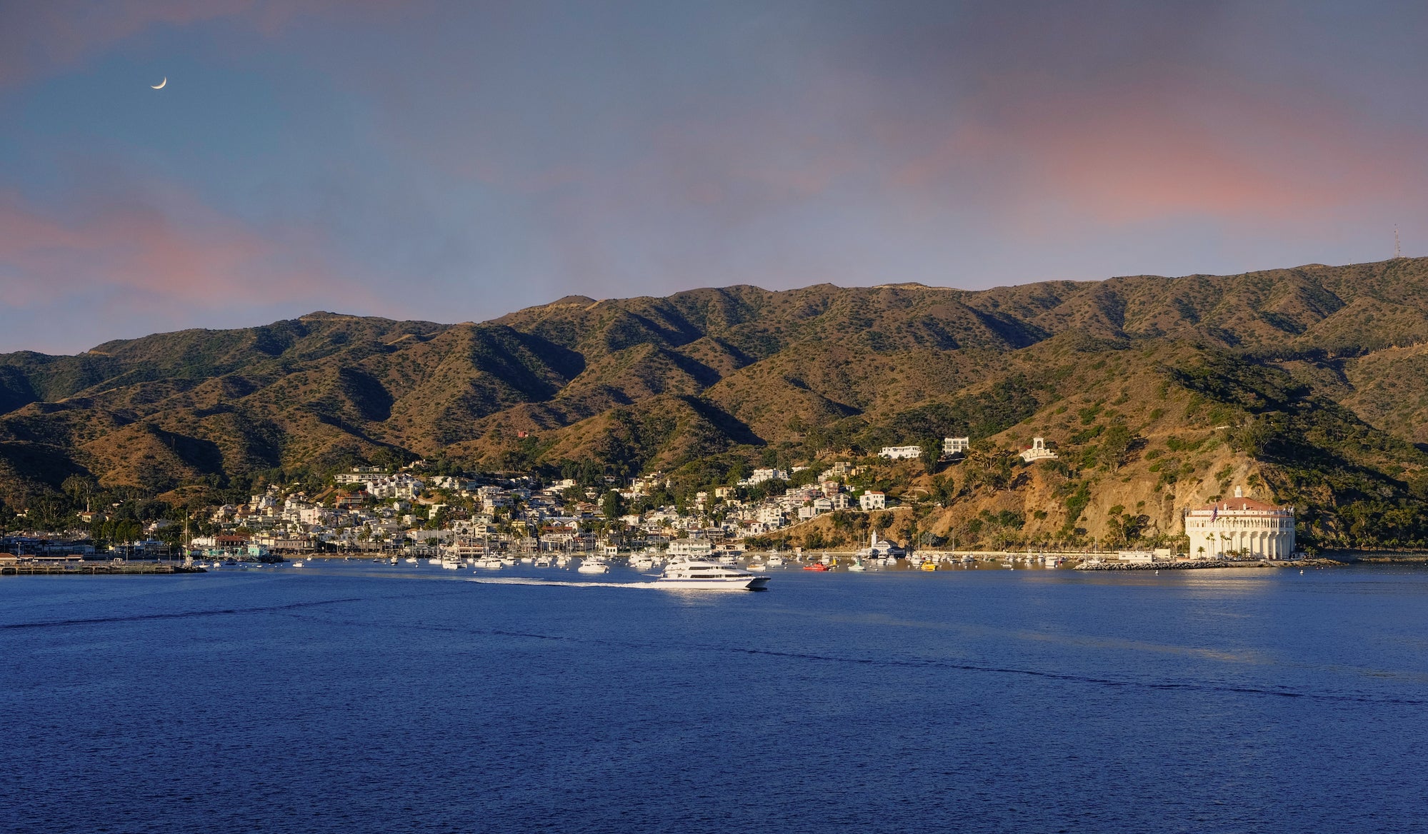 Running Through Avalon’s Beauty: The Ultimate Guide to the Avalon Benefit 50 Mile/50K Run
