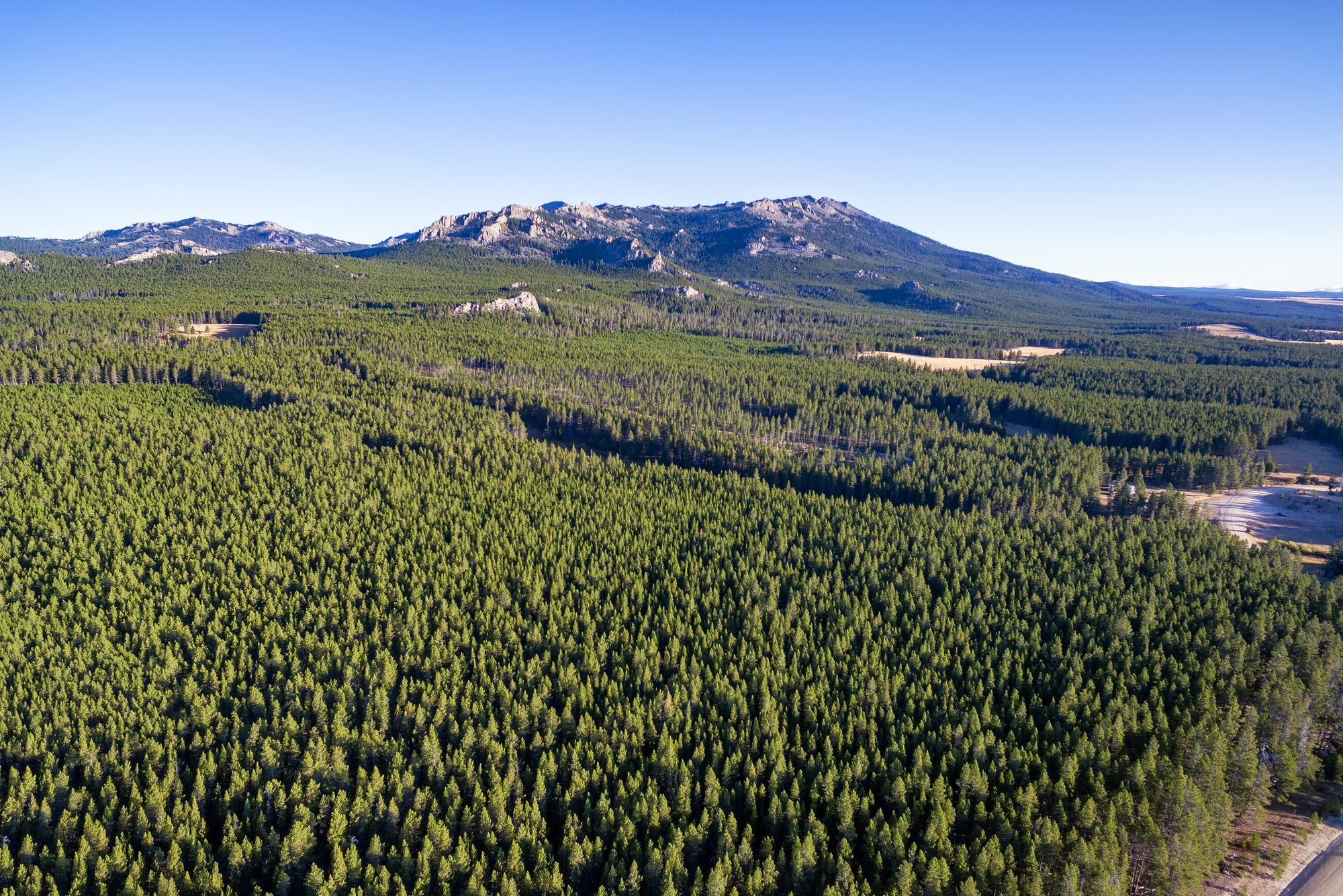 Run Wild in Wyoming Experience the Bighorn Trail Run