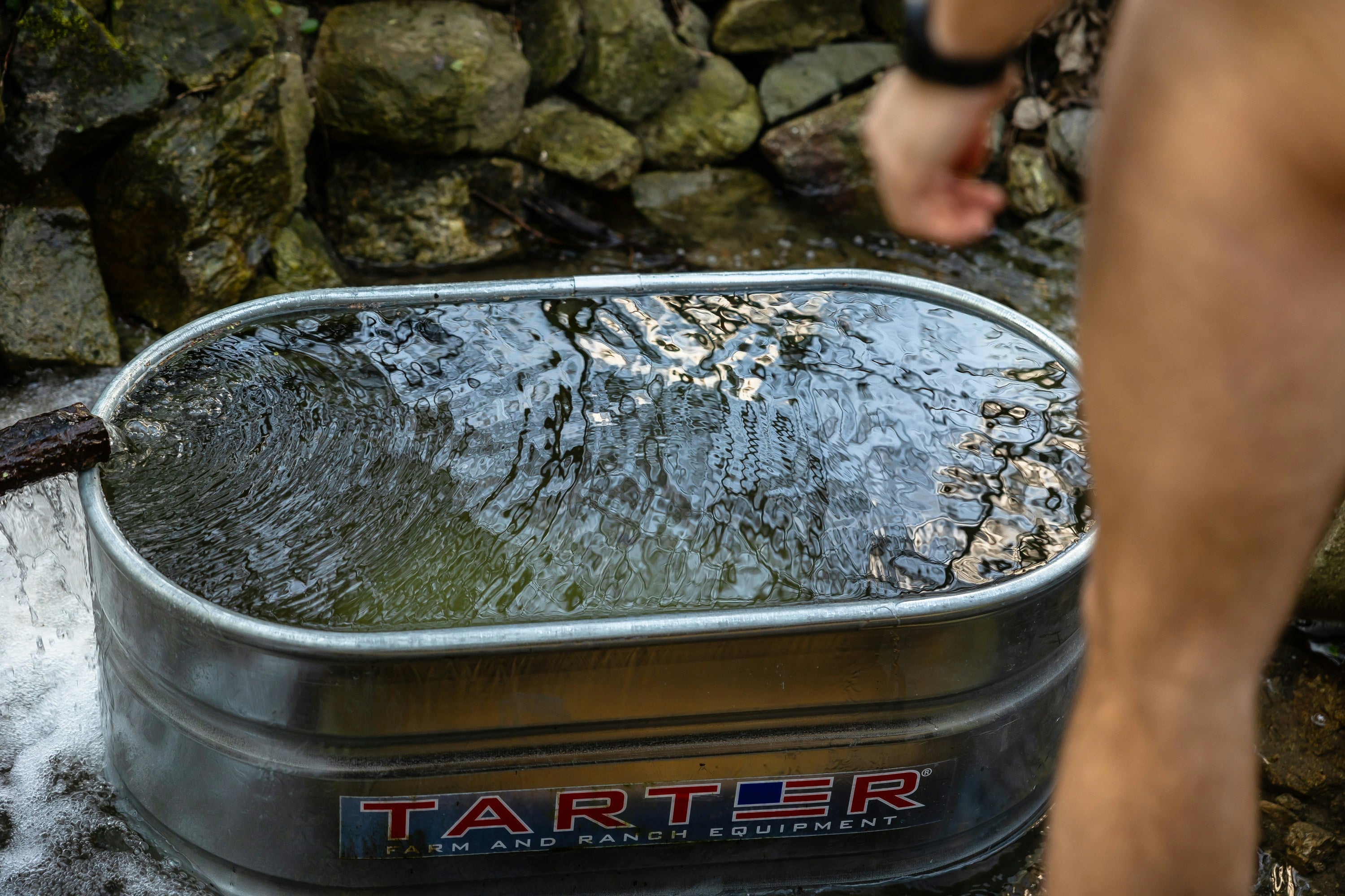 Cold Plunge Before or After a Workout? What Science Says for Recovery