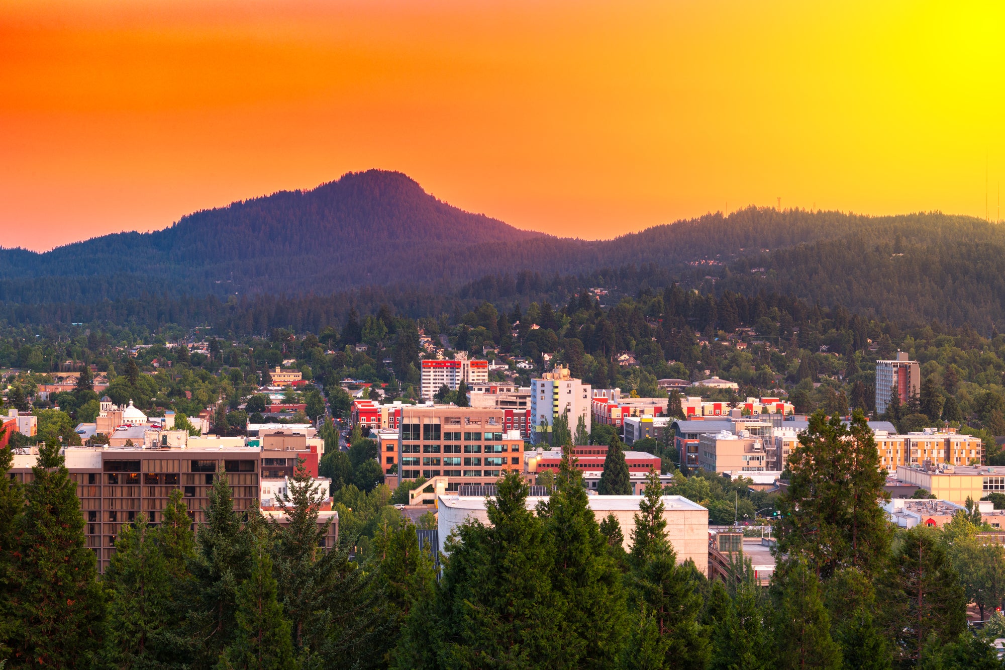 Conquer the Eugene Marathon—Your Ultimate Guide to Running in Track Town USA