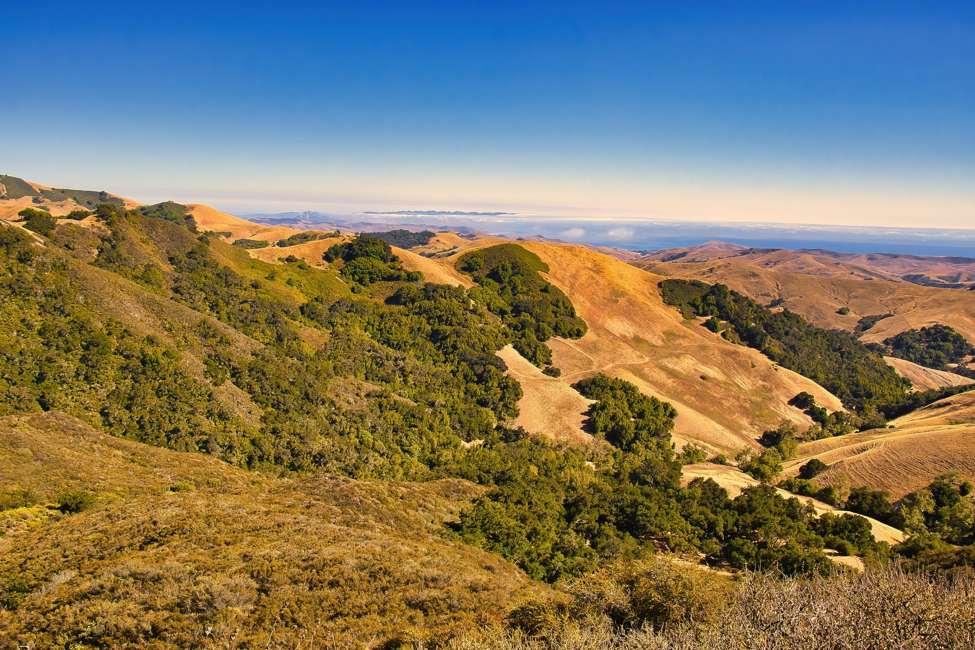 Conquer the Leona Divide Ultramarathon with Confidence