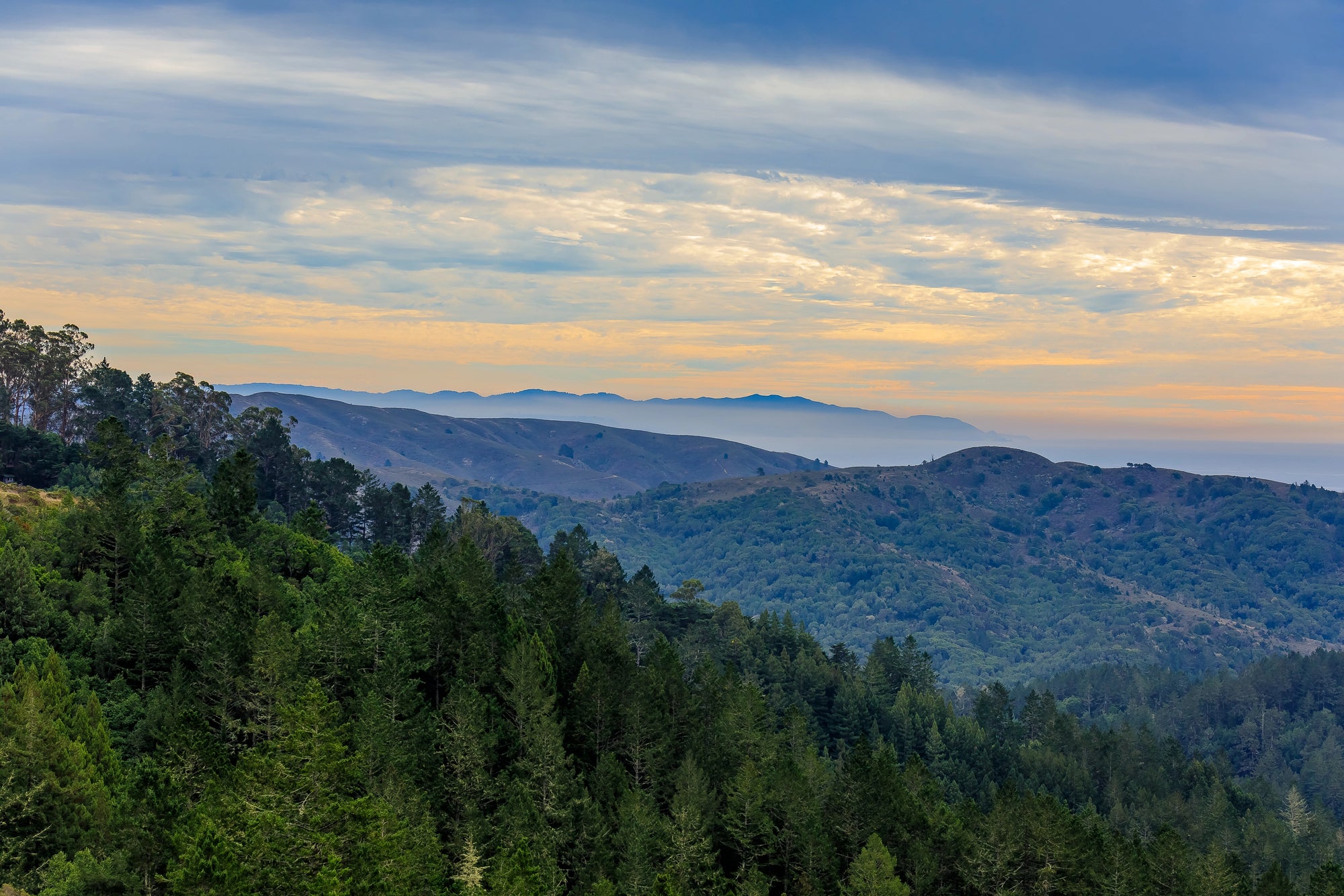 Conquer the Miwok 100K with Confidence and Community