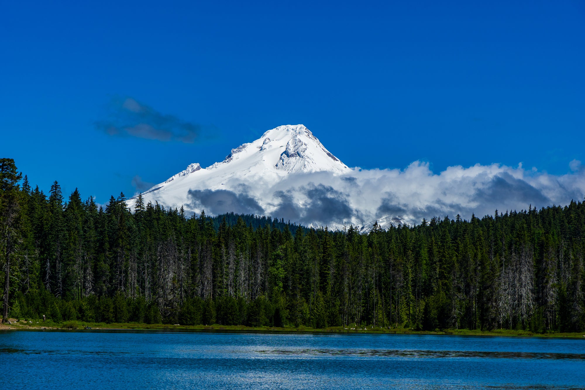 Conquer the Challenge of the Mountain Lakes 100 Ultramarathon