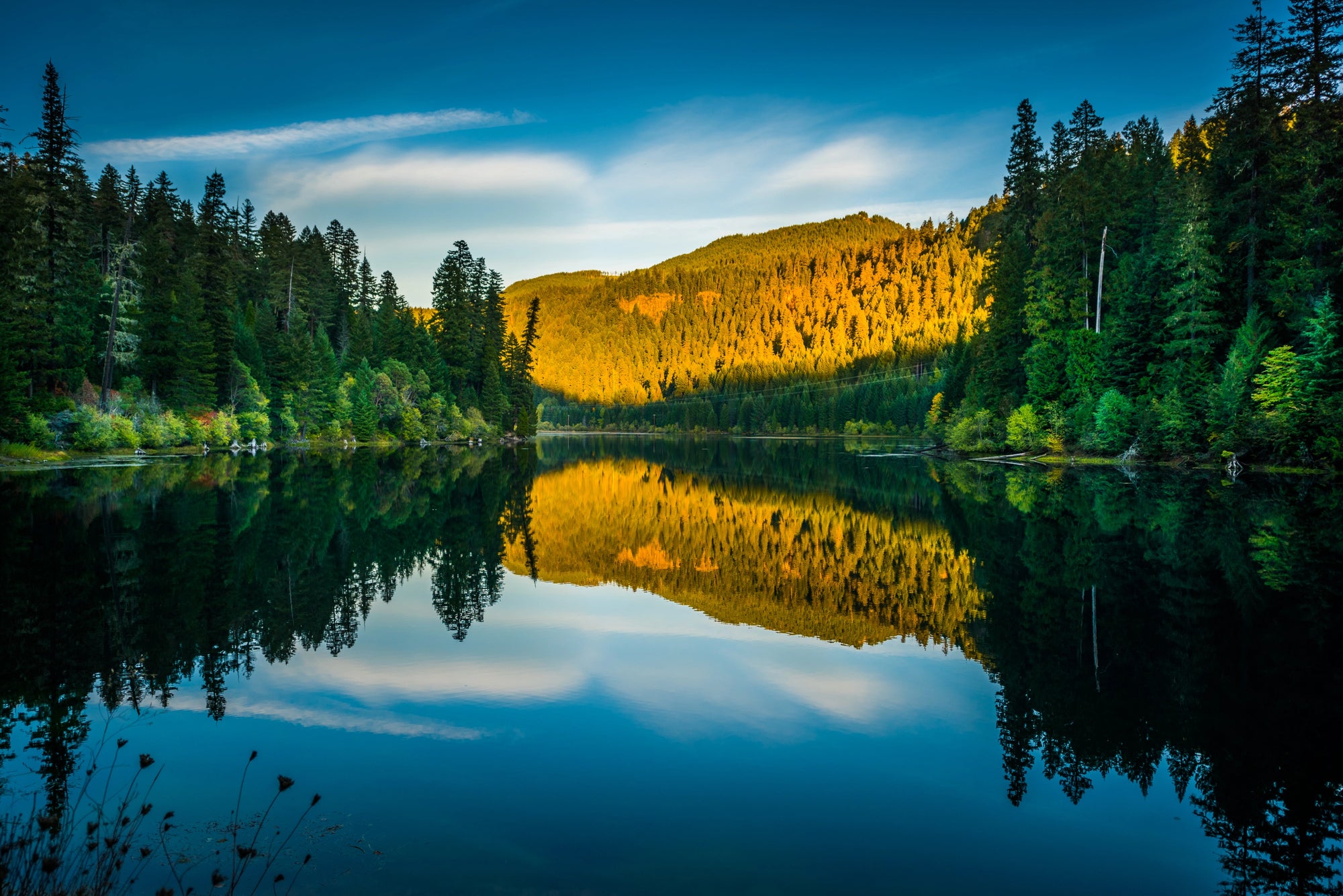 Ready to Tackle the Oregon 200? Here's Your Ultimate Guide
