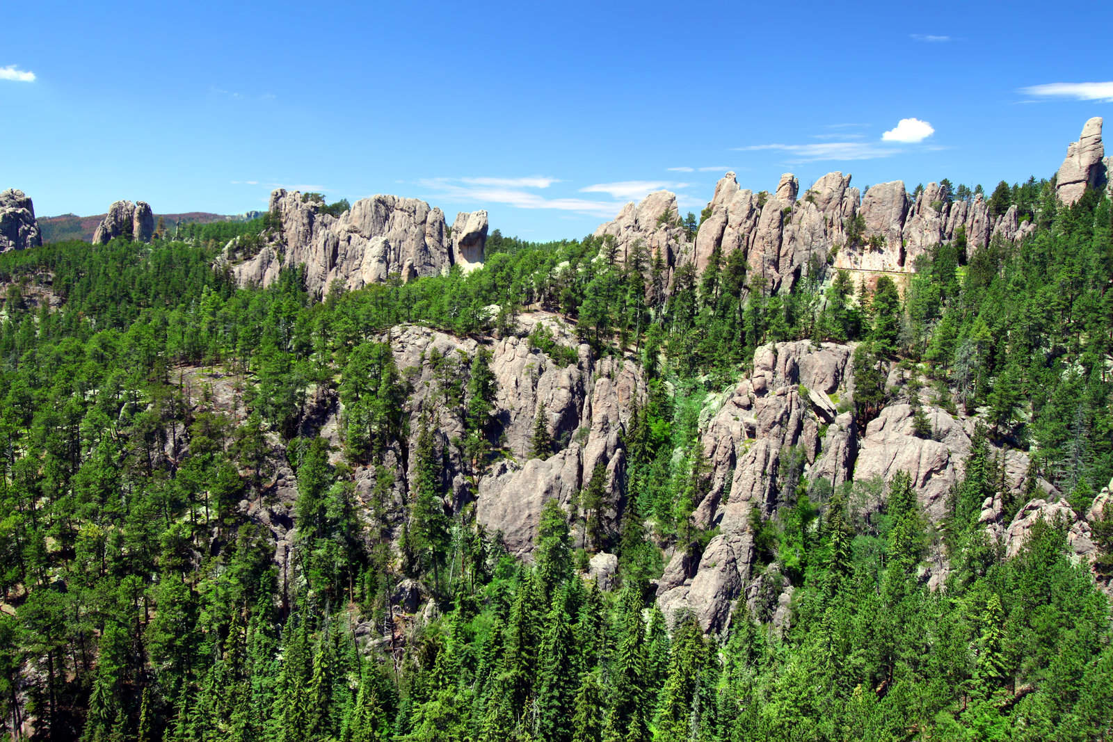 Running the Black Hills Ultramarathon with Confidence