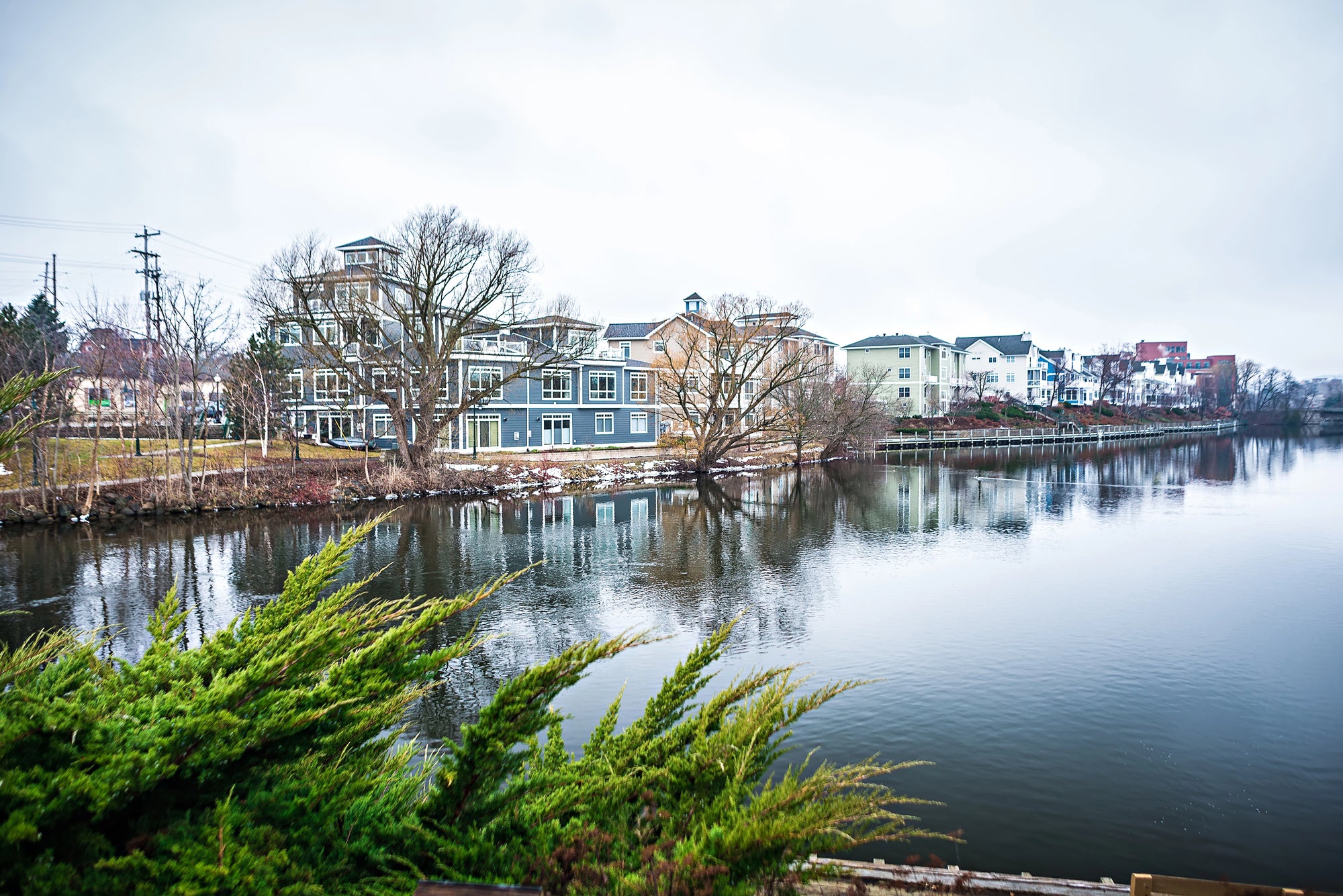 Experience the Bayshore Marathon: More Than Just a Race