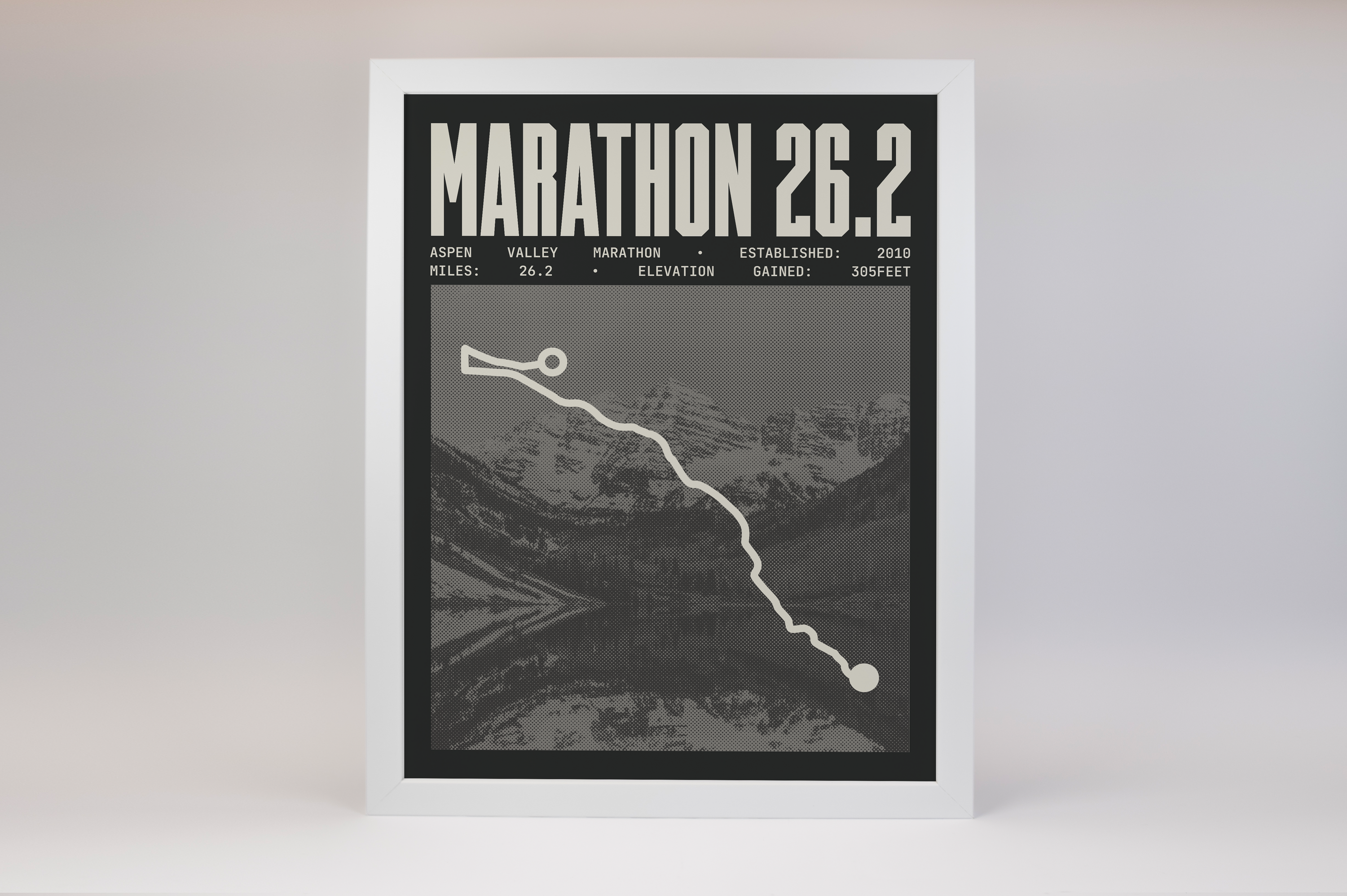 Aspen Valley Marathon Poster