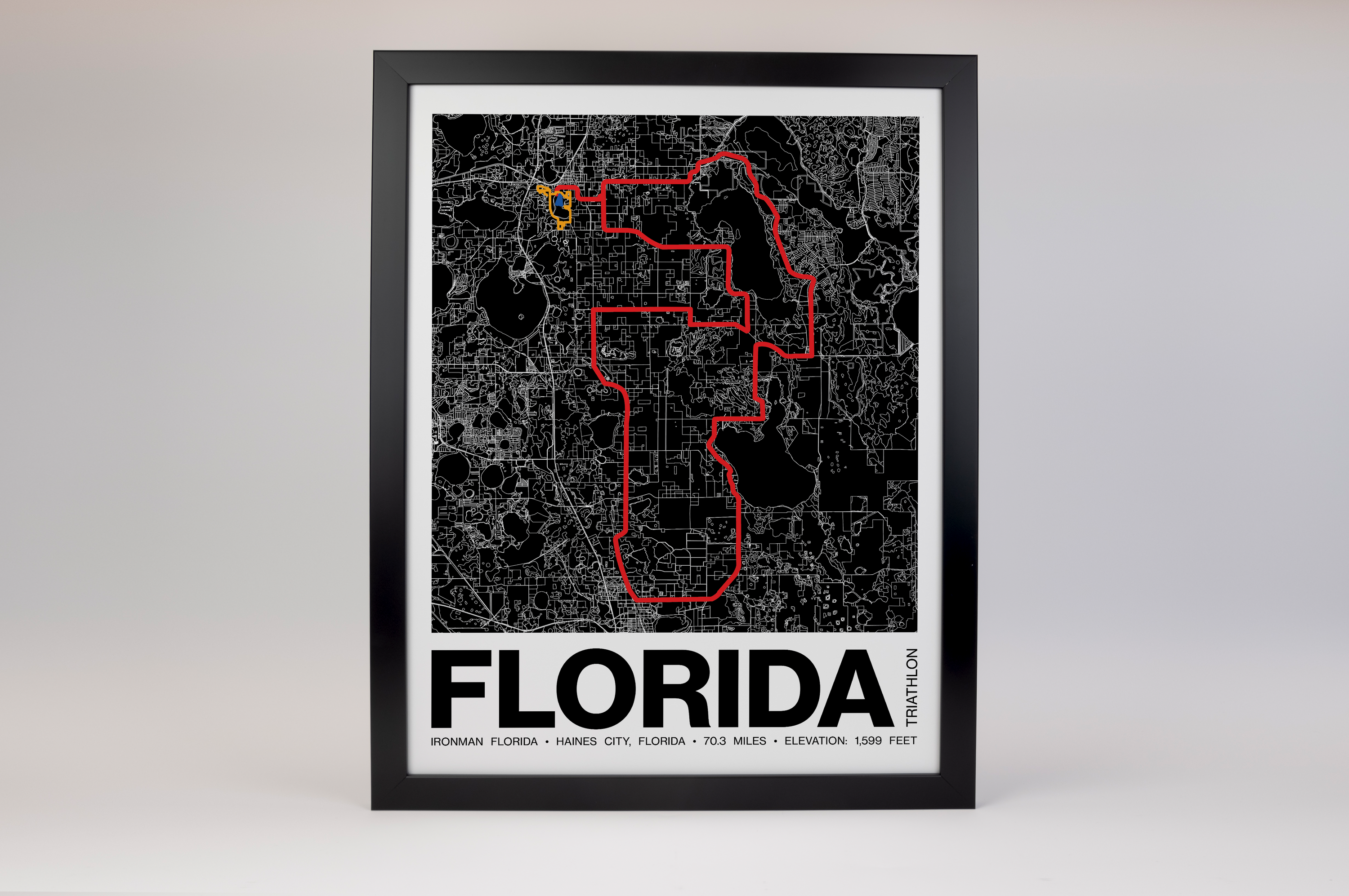 Ironman 70.3 Florida Poster - Grid Style