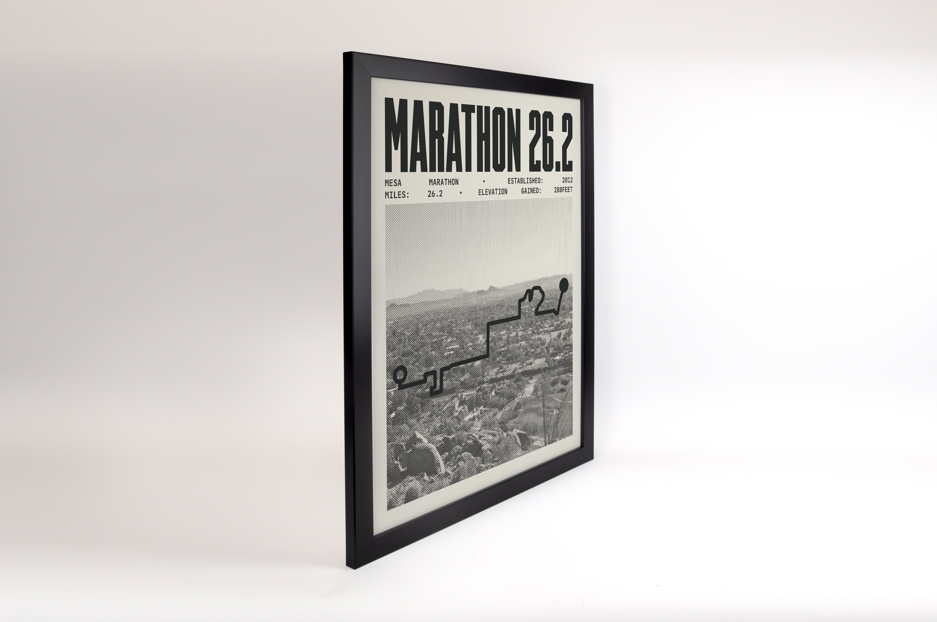 Mesa Falls Marathon Poster