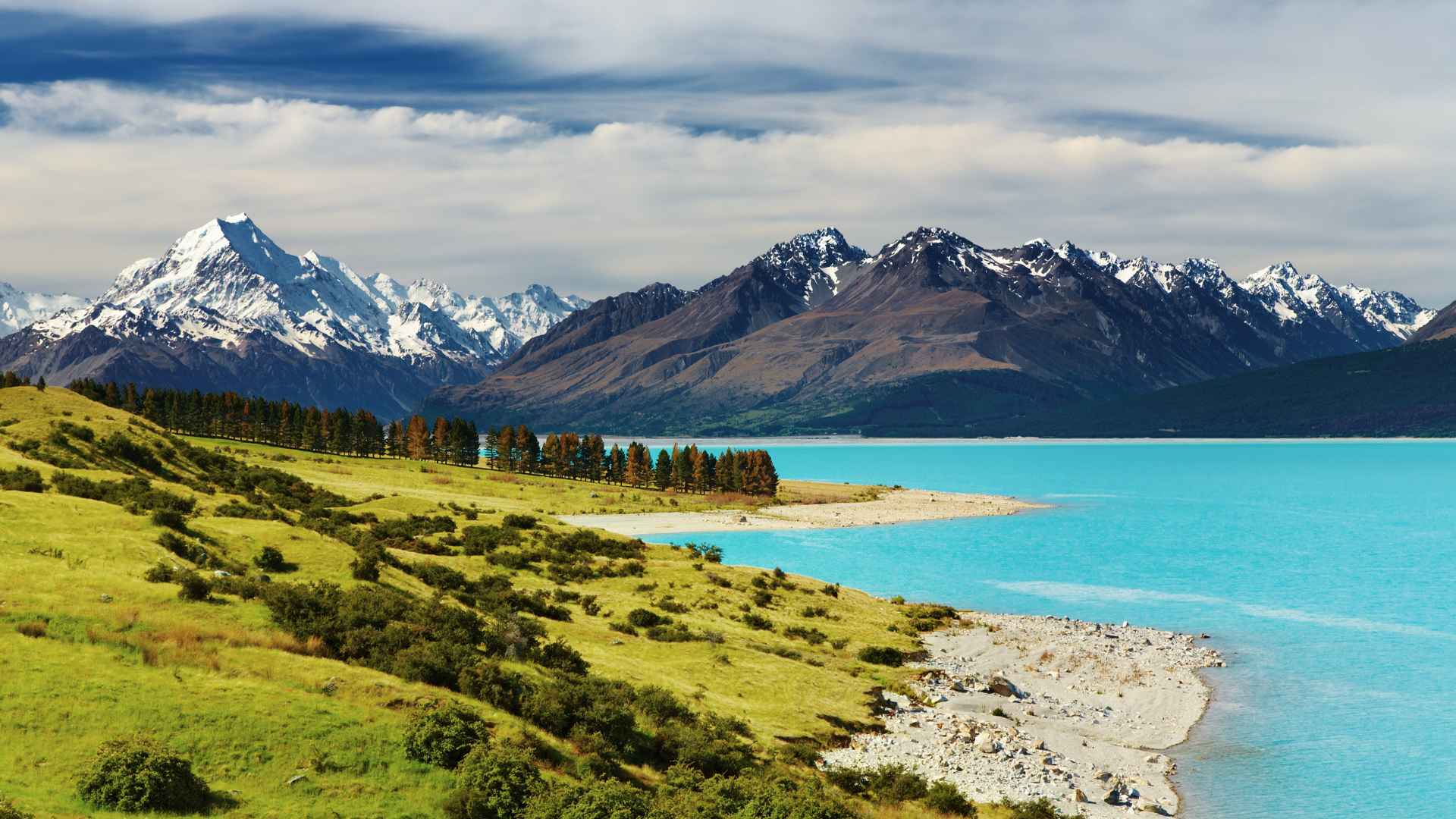The Best Ultramarathons in New Zealand for Adventure Seekers