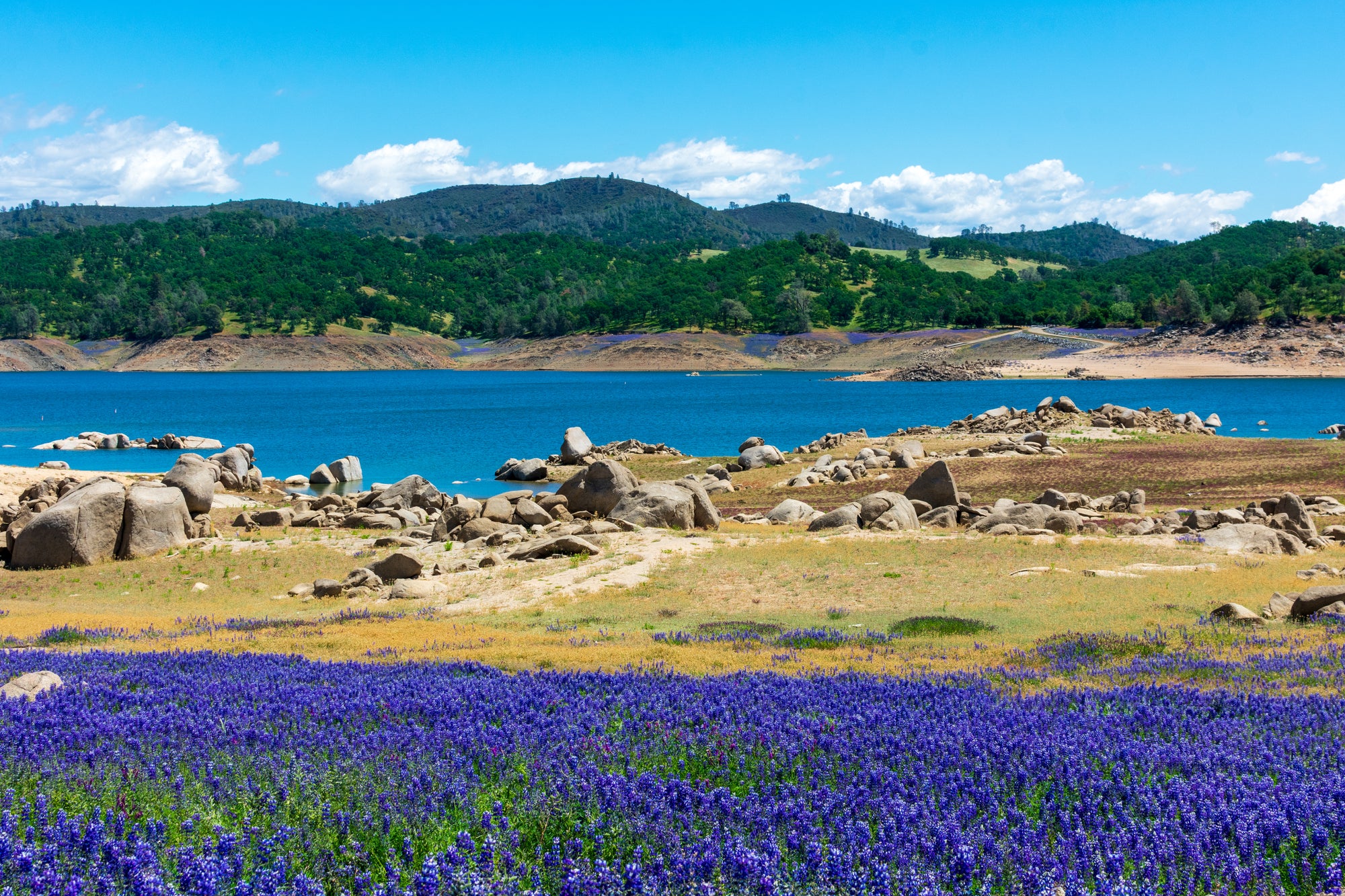 Conquer the American River 50 Mile Endurance Run