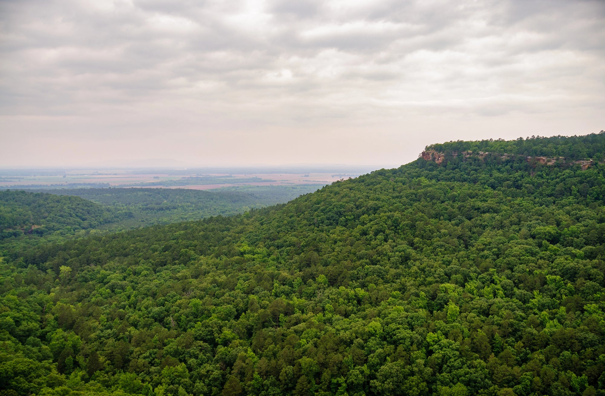 Conquer the Trail at Arkansas Traveller 100