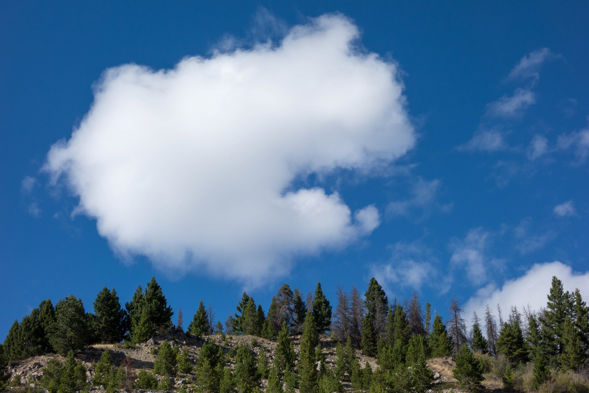 Chase the Skyline at Big Sky Marathon 2024