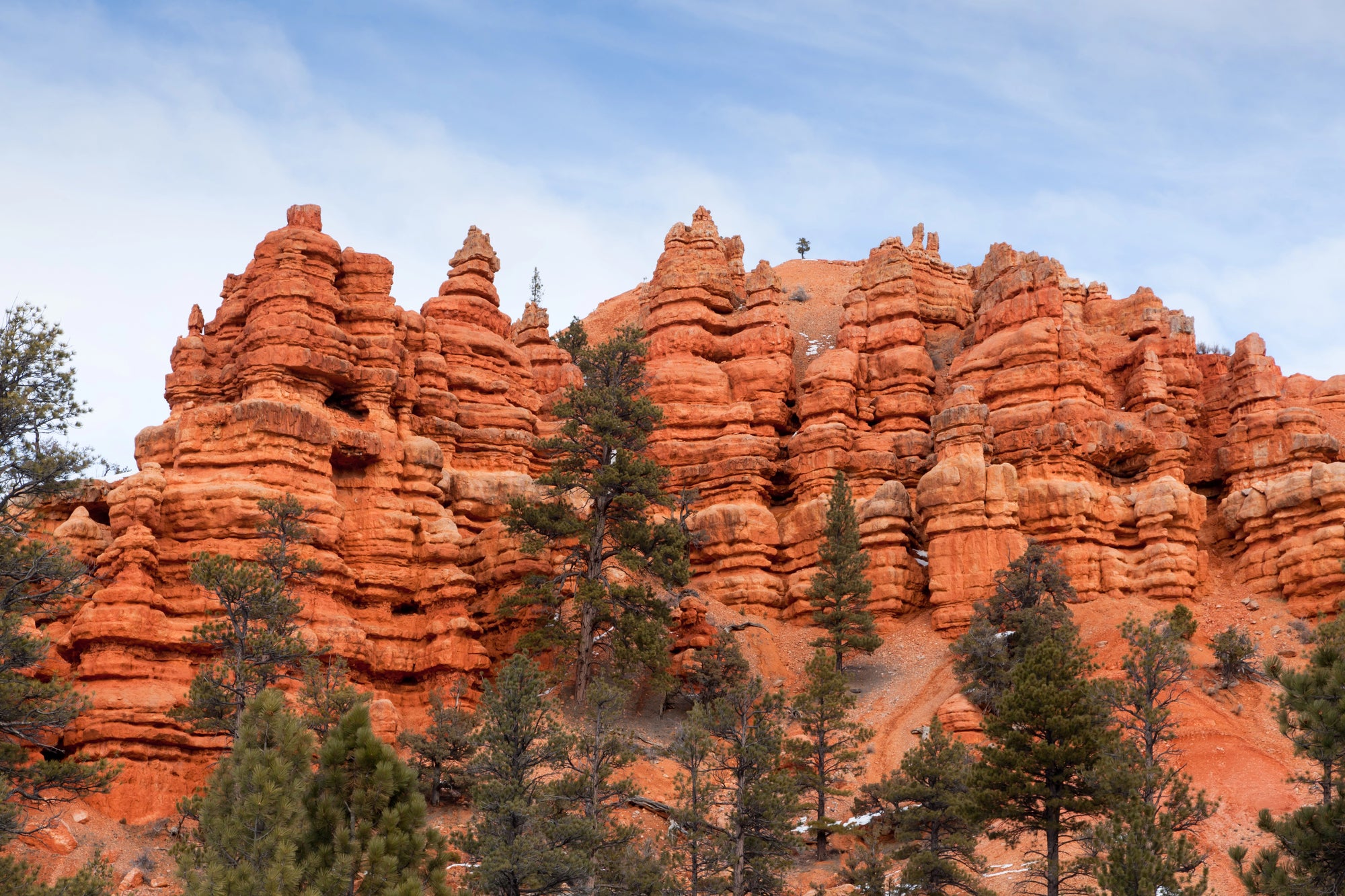 Running Wonders at Bryce Canyon Ultras