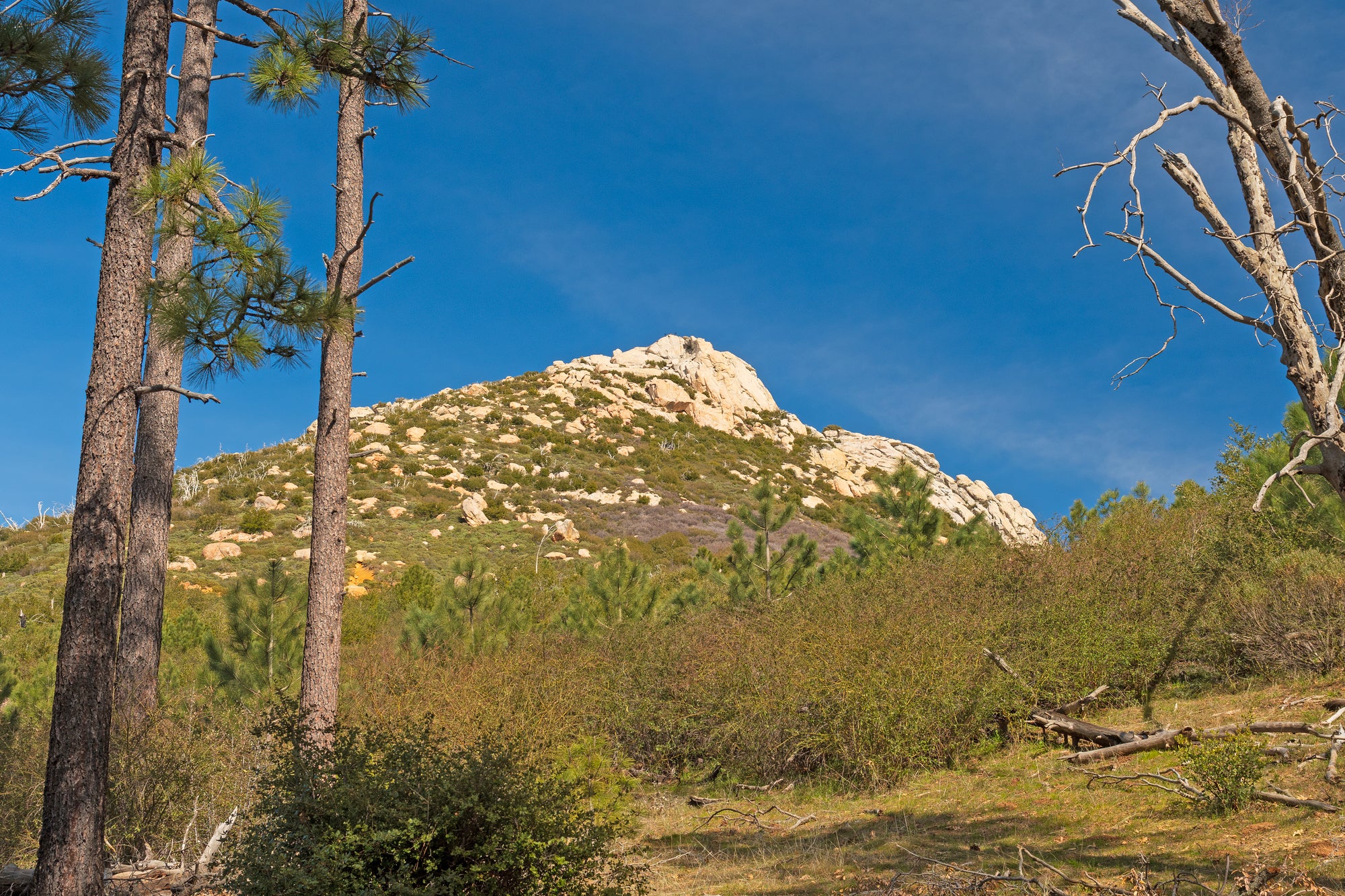Discover the Ultimate Challenge at the Cuyamaca 100K Ultramarathon