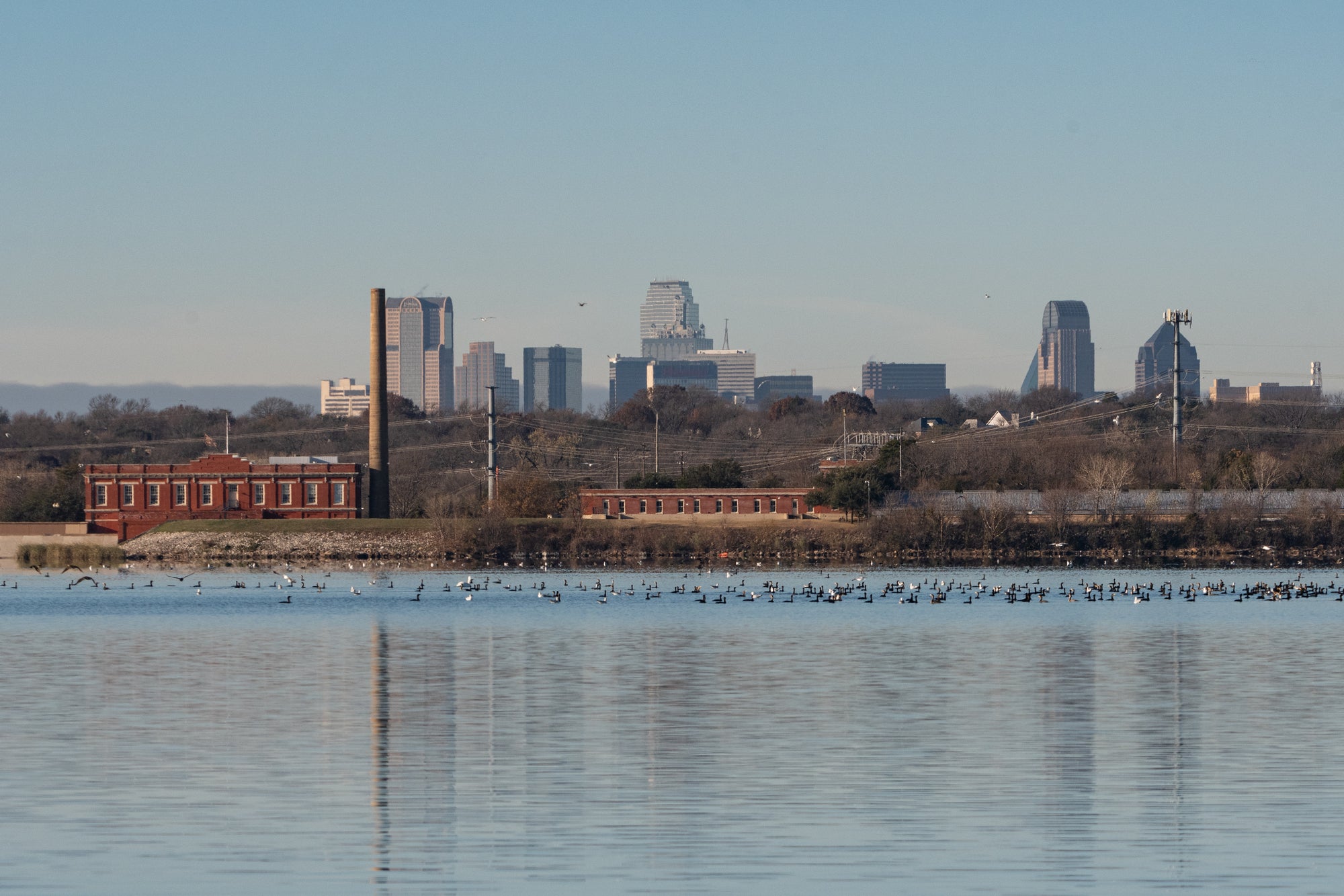 Experience the Dallas White Rock Marathon like Never Before