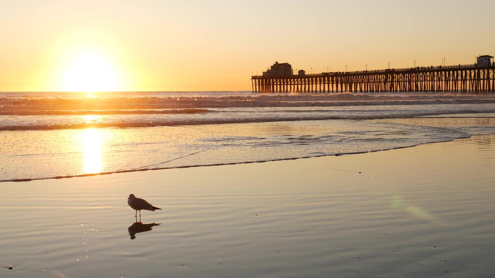 A Guide to Conquering the Ironman 70.3 Oceanside