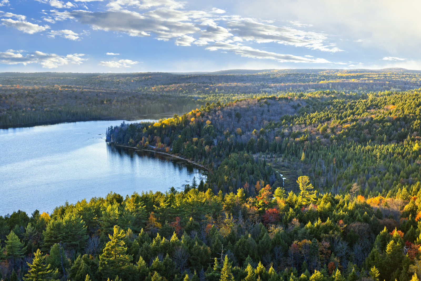 The Complete Guide to Conquering Ironman 70.3 Muskoka
