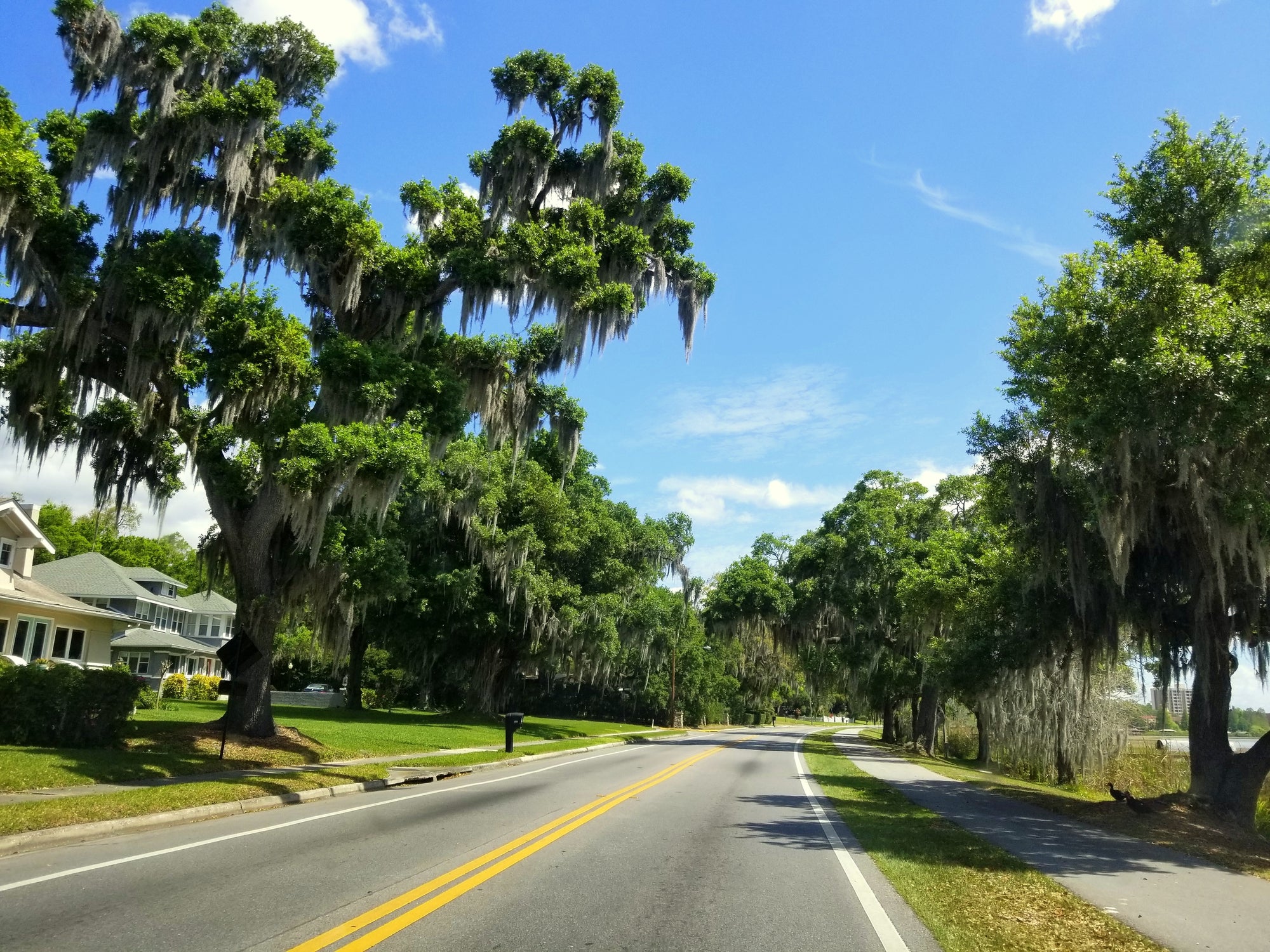 Race to Triumph at Ironman 70.3 Florida