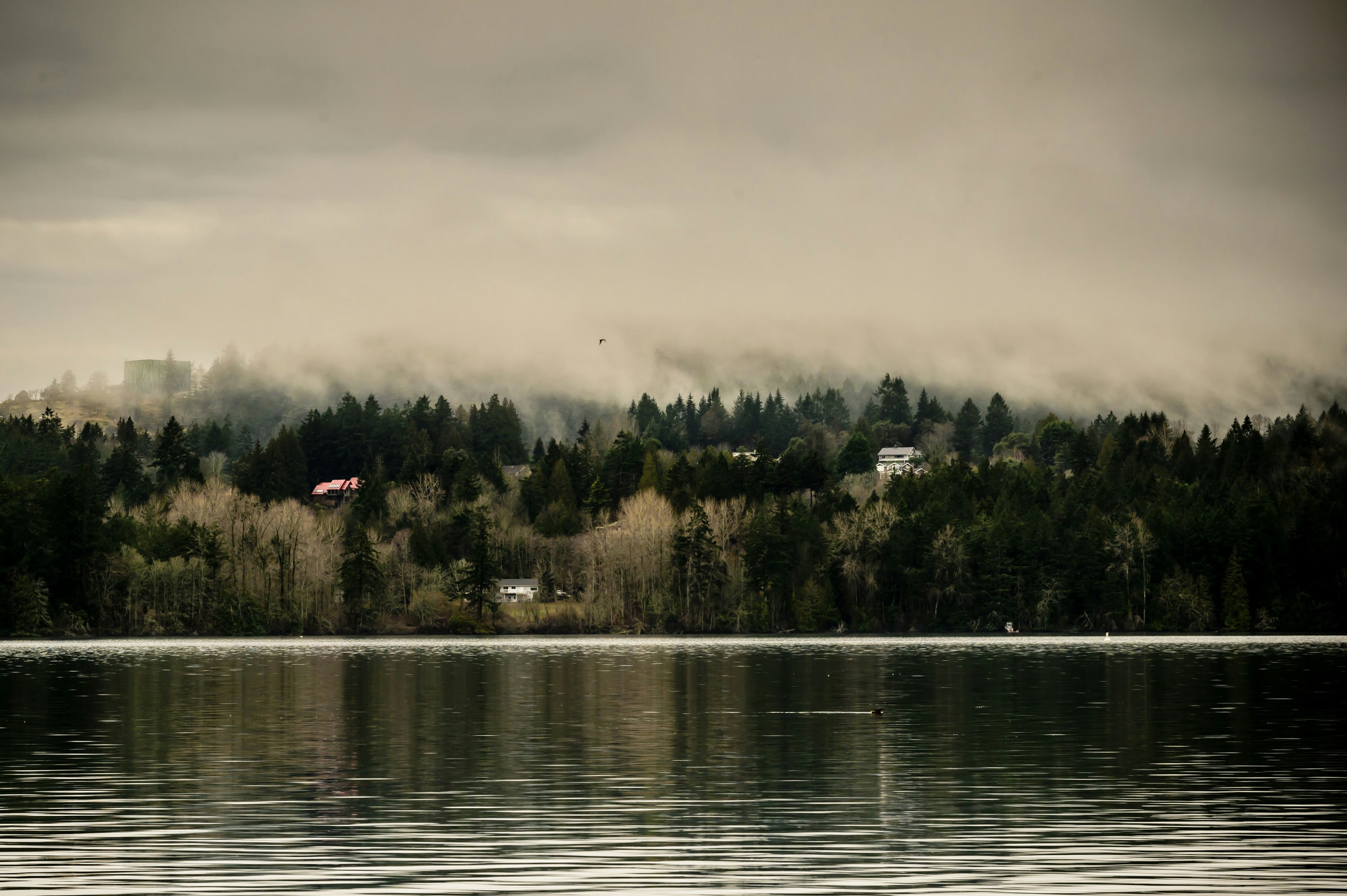 Inside the Ironman 70.3 Victoria: Strategies for the Race of a Lifetime
