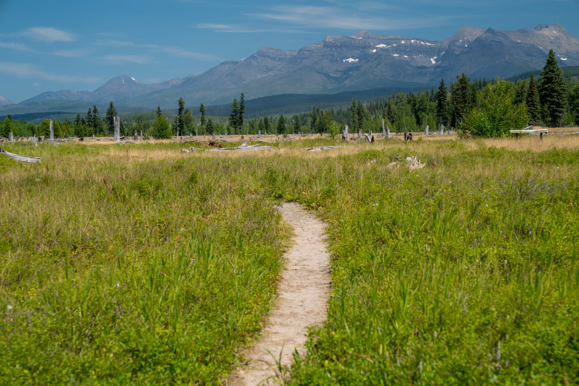 Experience the Ultimate Challenge at Le Grizz 50-Mile Ultramarathon
