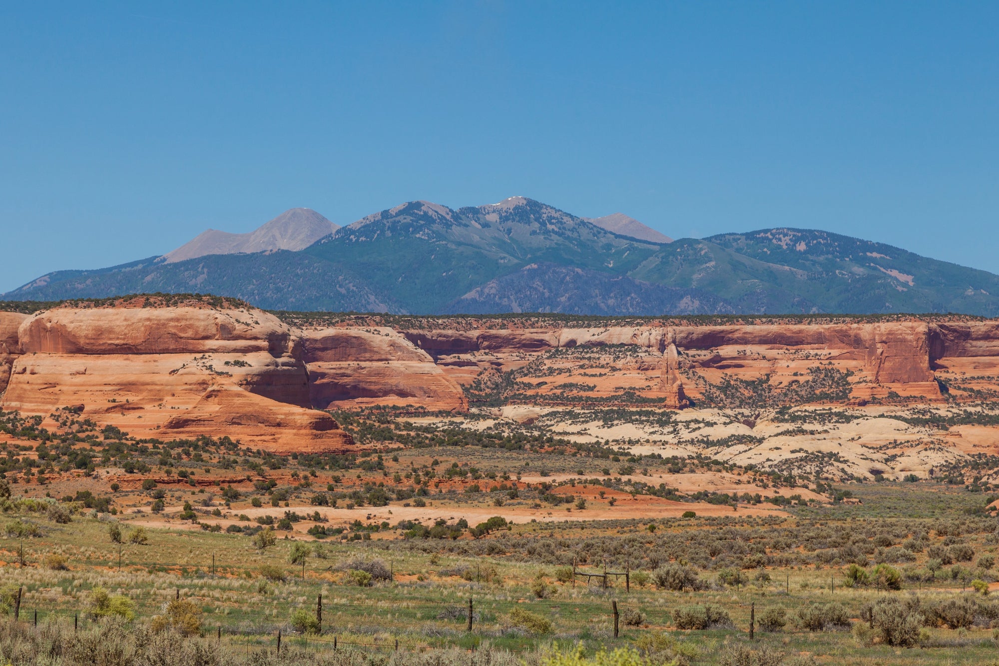 Conquer 240 Miles of Pure Adventure with the Moab 240 Ultramarathon