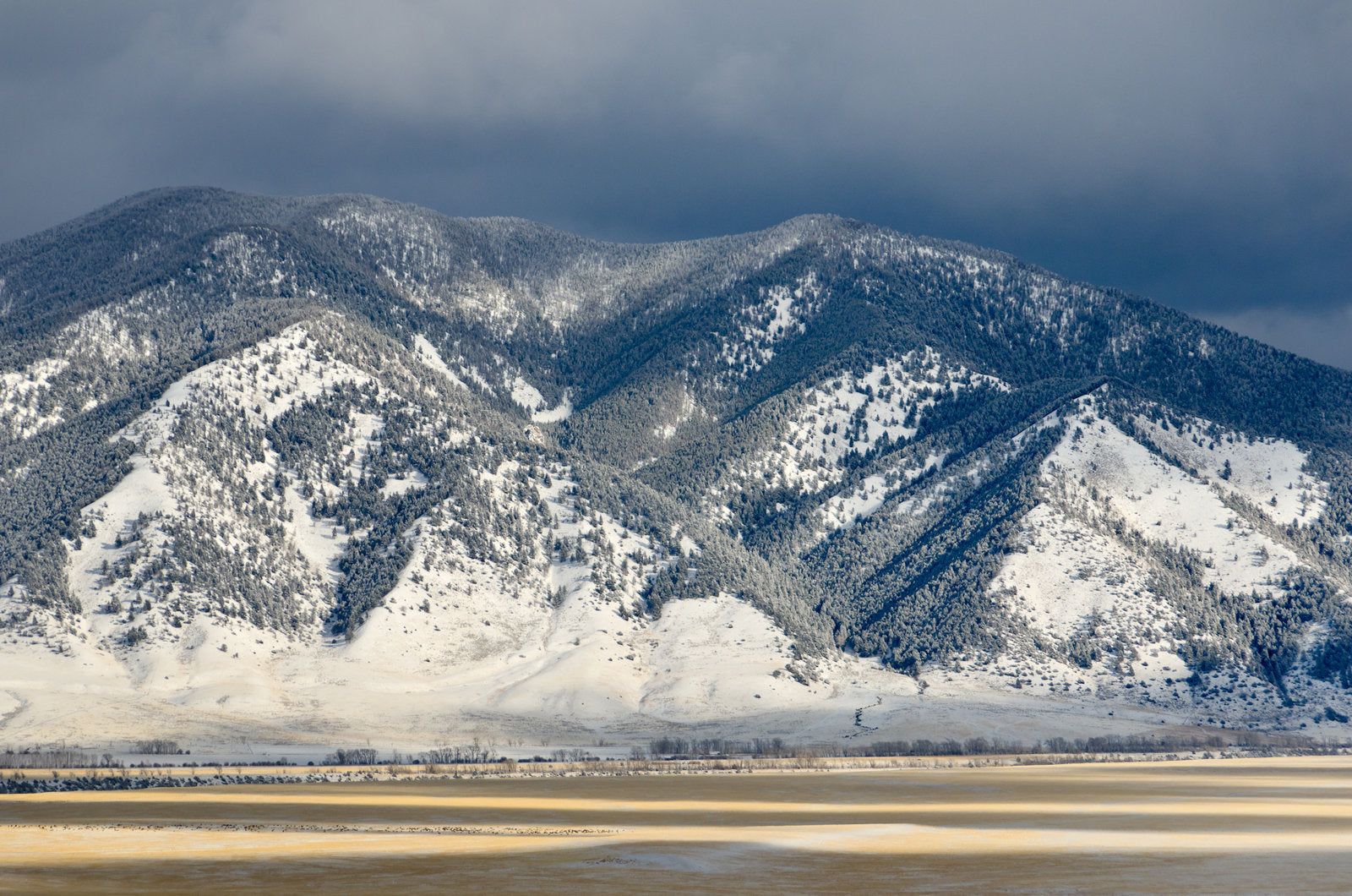 Madison Marathon MT: A Runner's Dream in Ennis, Montana