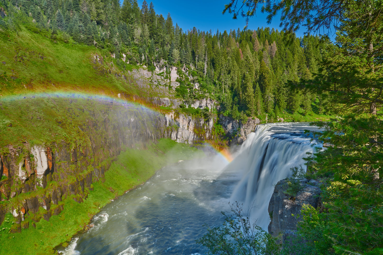 Discover the Mesa Falls Marathon Adventure for Every Runner