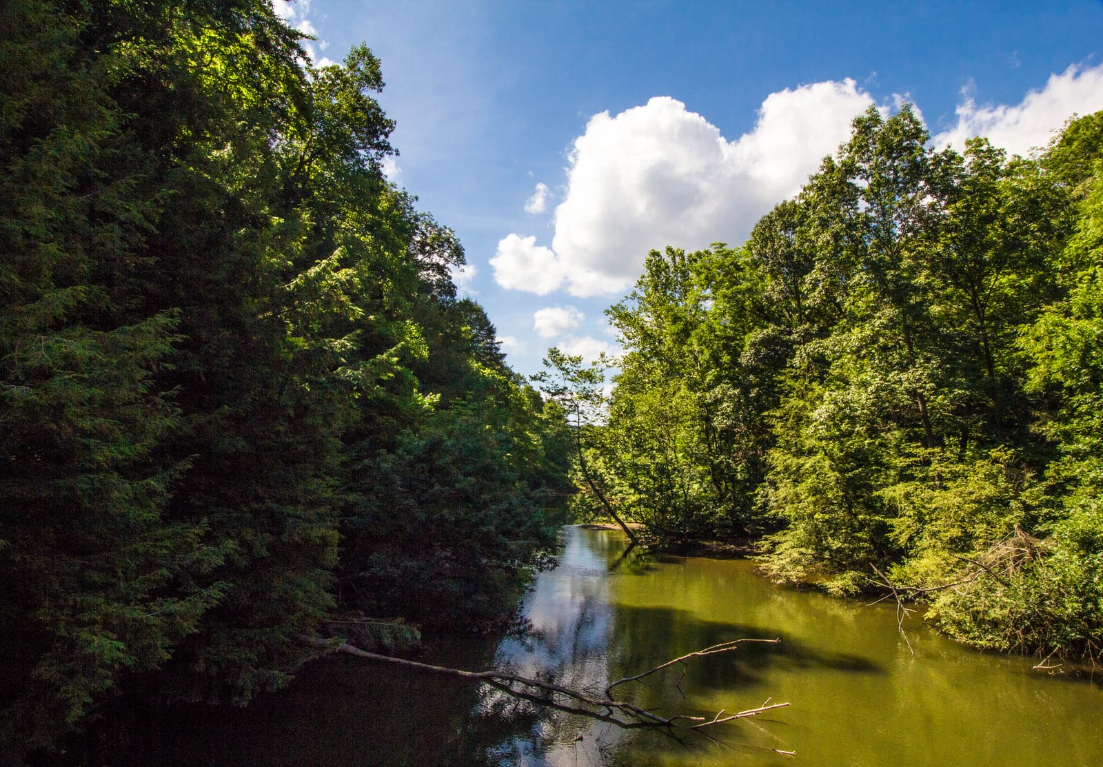 Experience the Thrill and Beauty of the Mohican Marathon