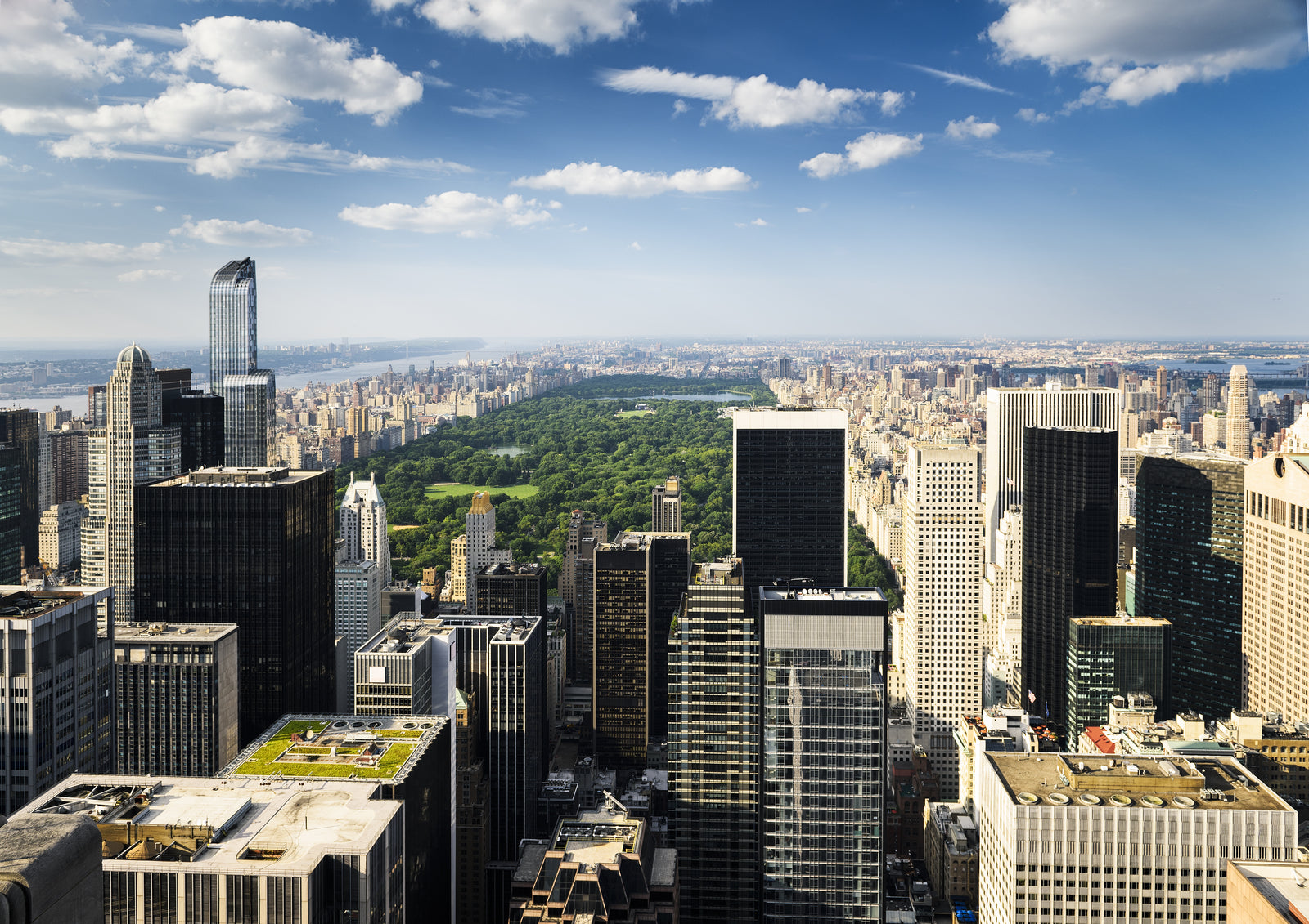 Discover the Thrill of the New York City Marathon