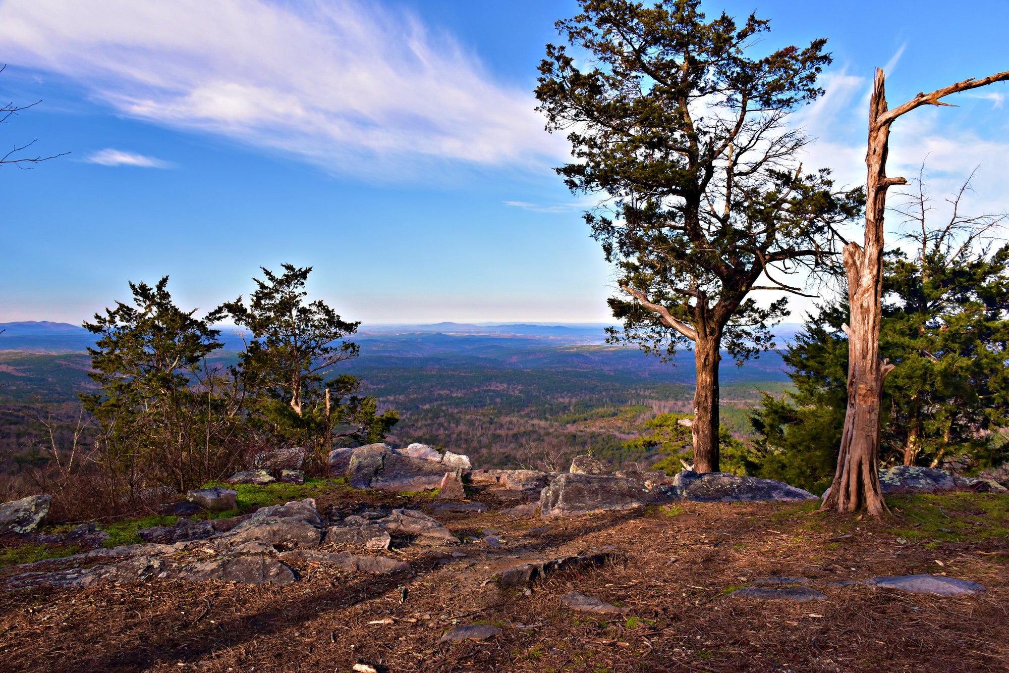 Conquer the Trails: Your Ultimate Guide to the Pinhoti 100 Ultramarathon
