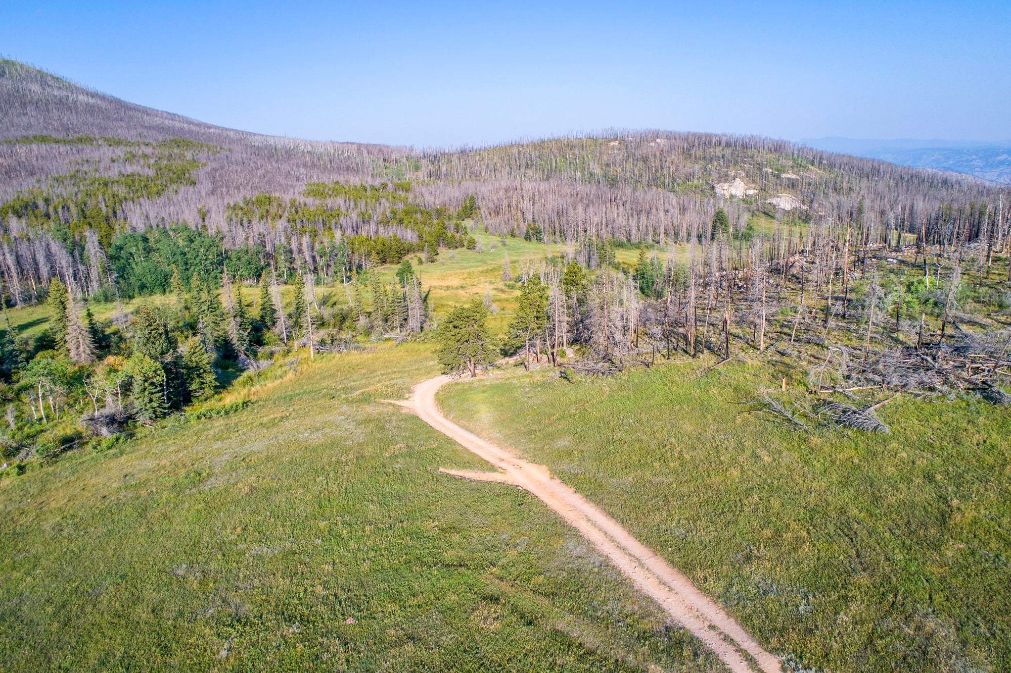 Endurance and Community at the Red Feather Trail Jamboree