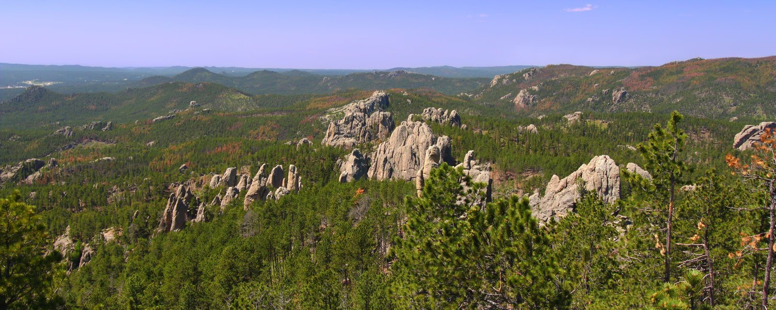 Run Crazy Horse Marathon A Journey Through History and Endurance