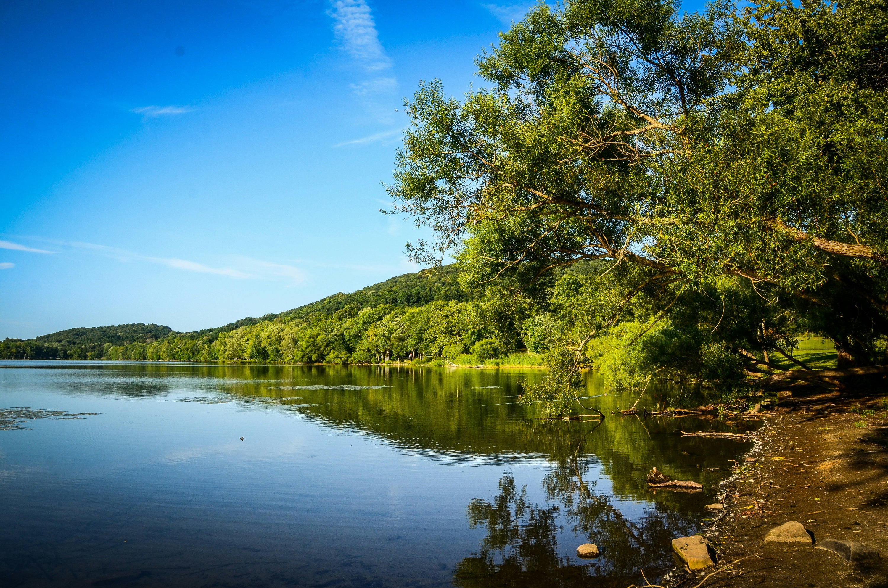 The Ultimate Guide to Conquering the Sri Chinmoy Marathon