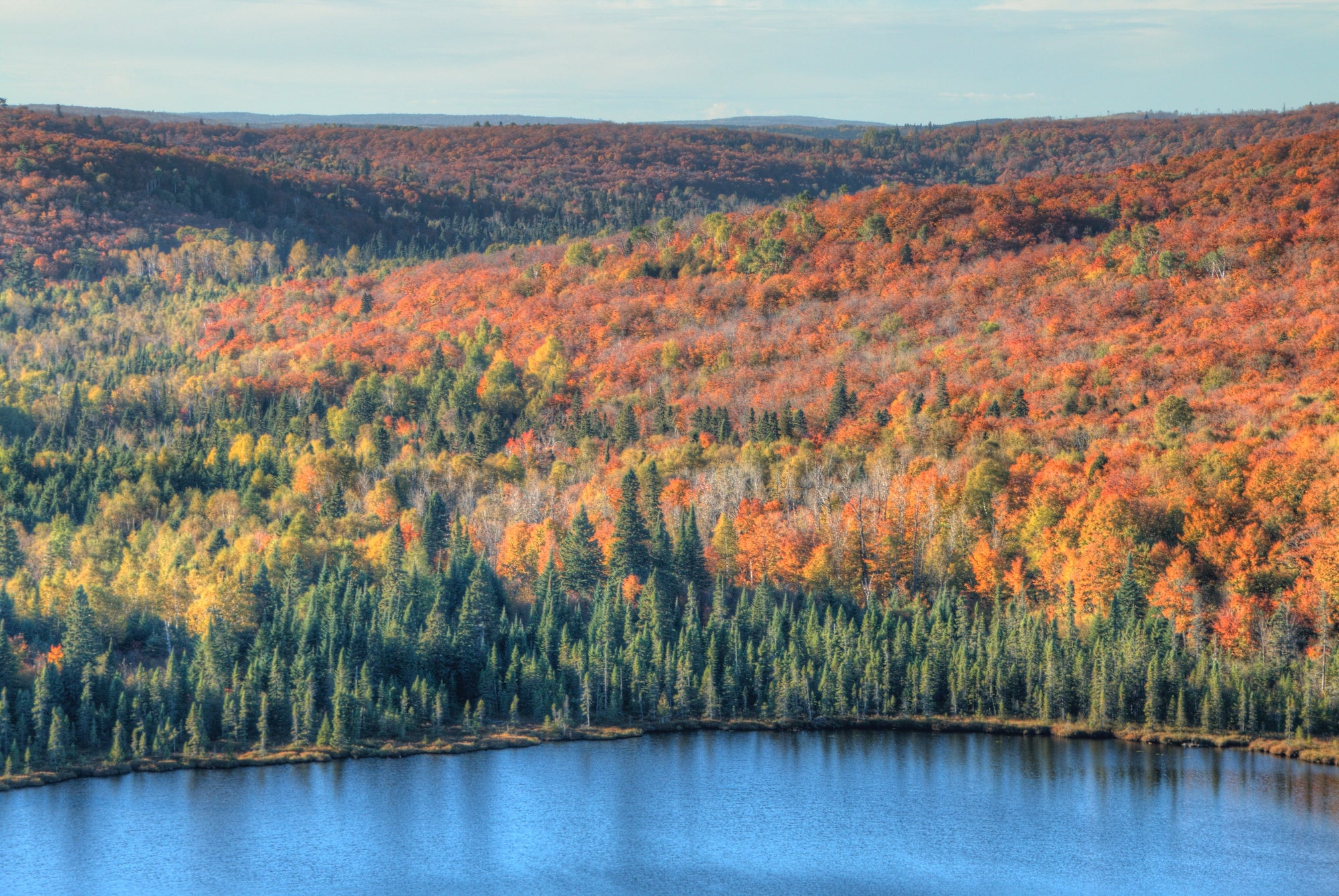 Embarking on the Superior Fall Trail Race Journey