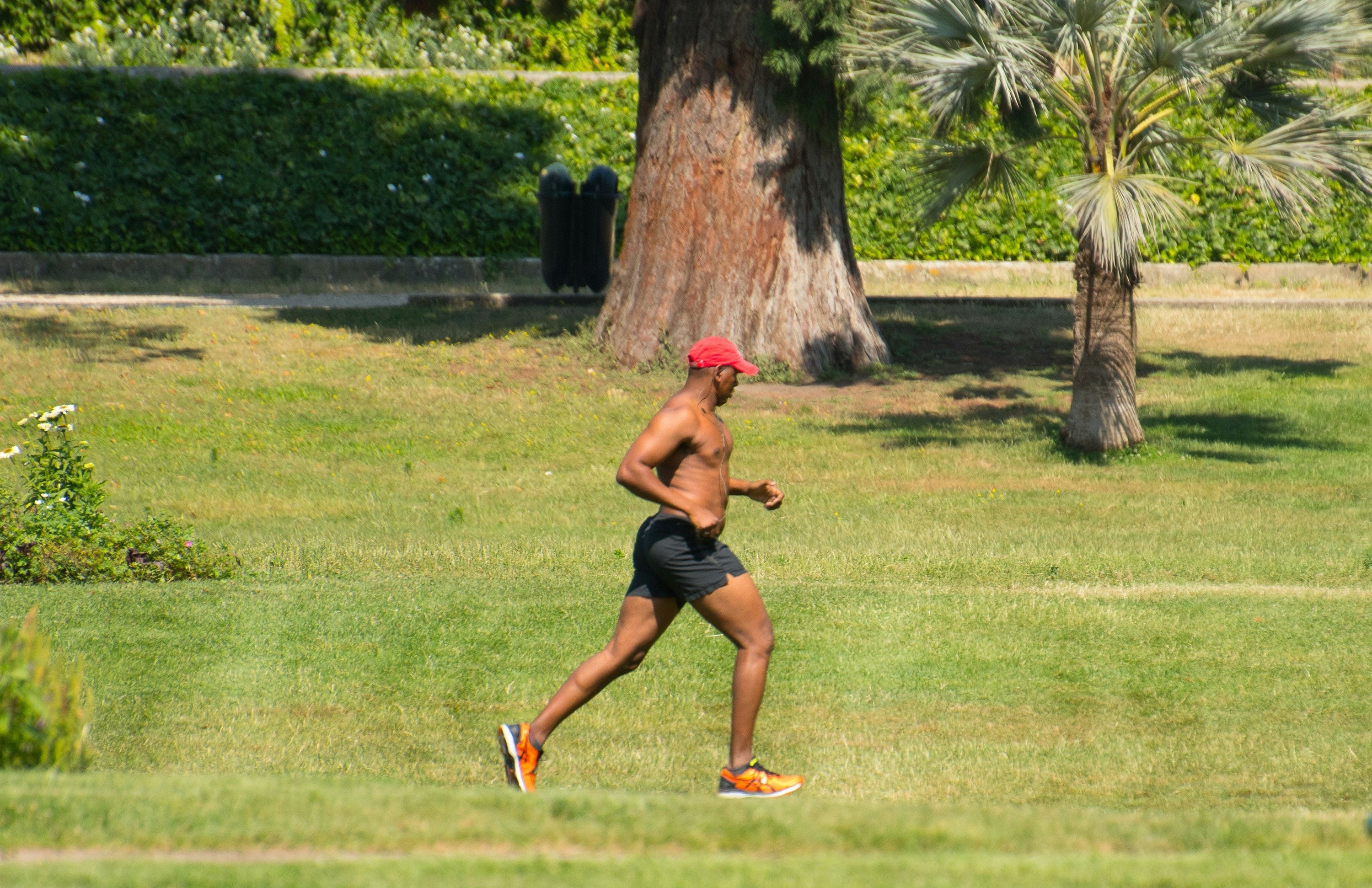 The Role of Zone 2 Training in Ironman Prep