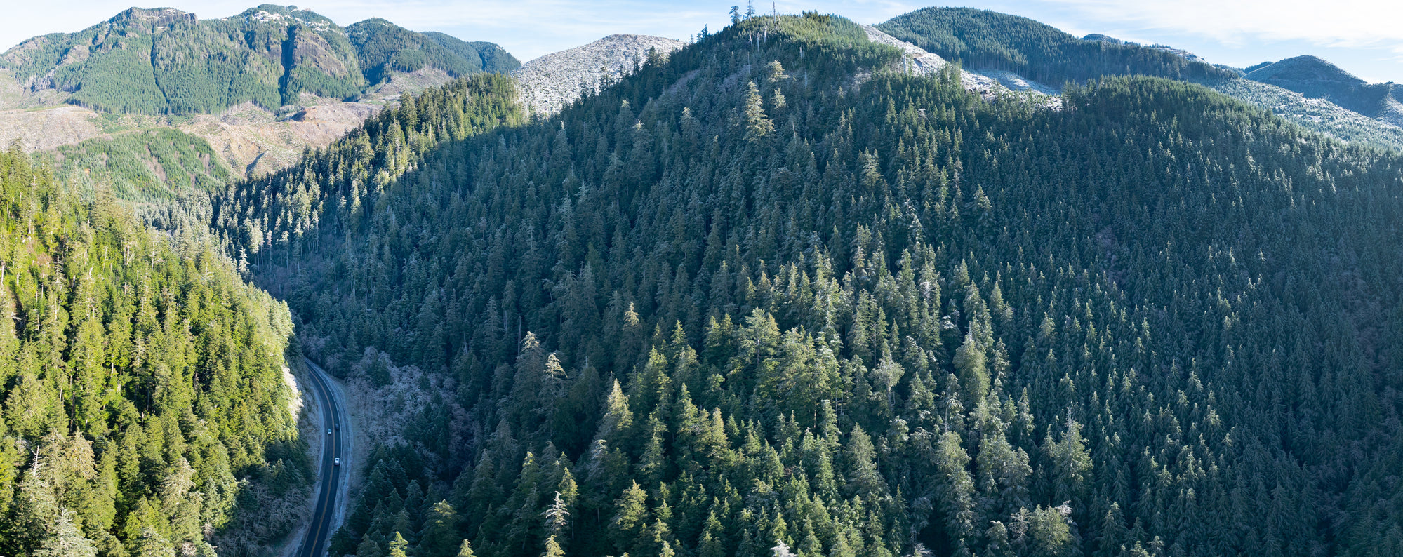 Discover the Thrill of the Tillamook Burn 50 Miler Ultramarathon