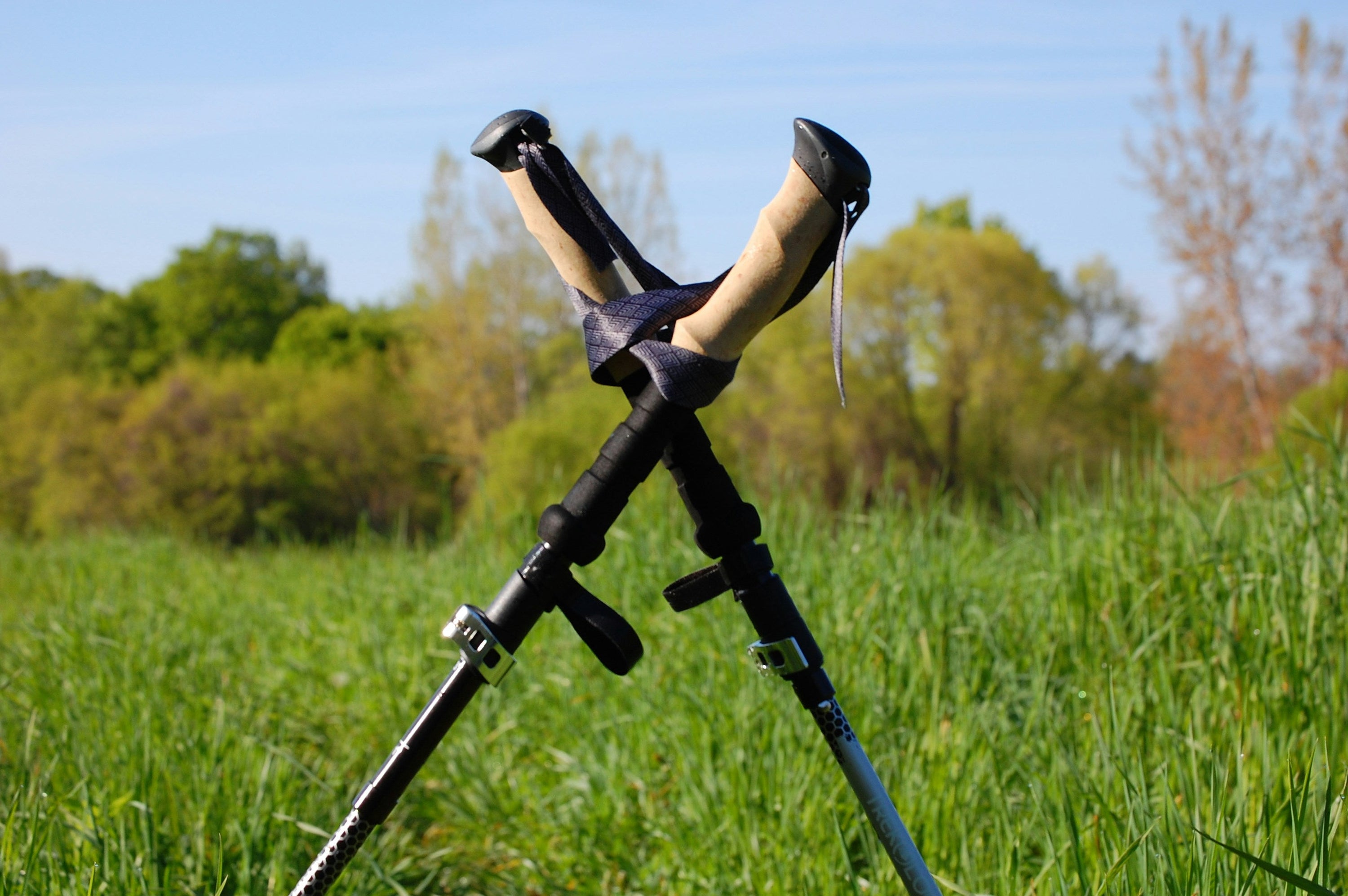 Trekking Poles for Endurance Races: Top Models and When to Use Them