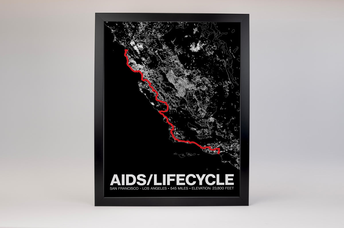 AIDS LifeCycle Poster - Grid Style