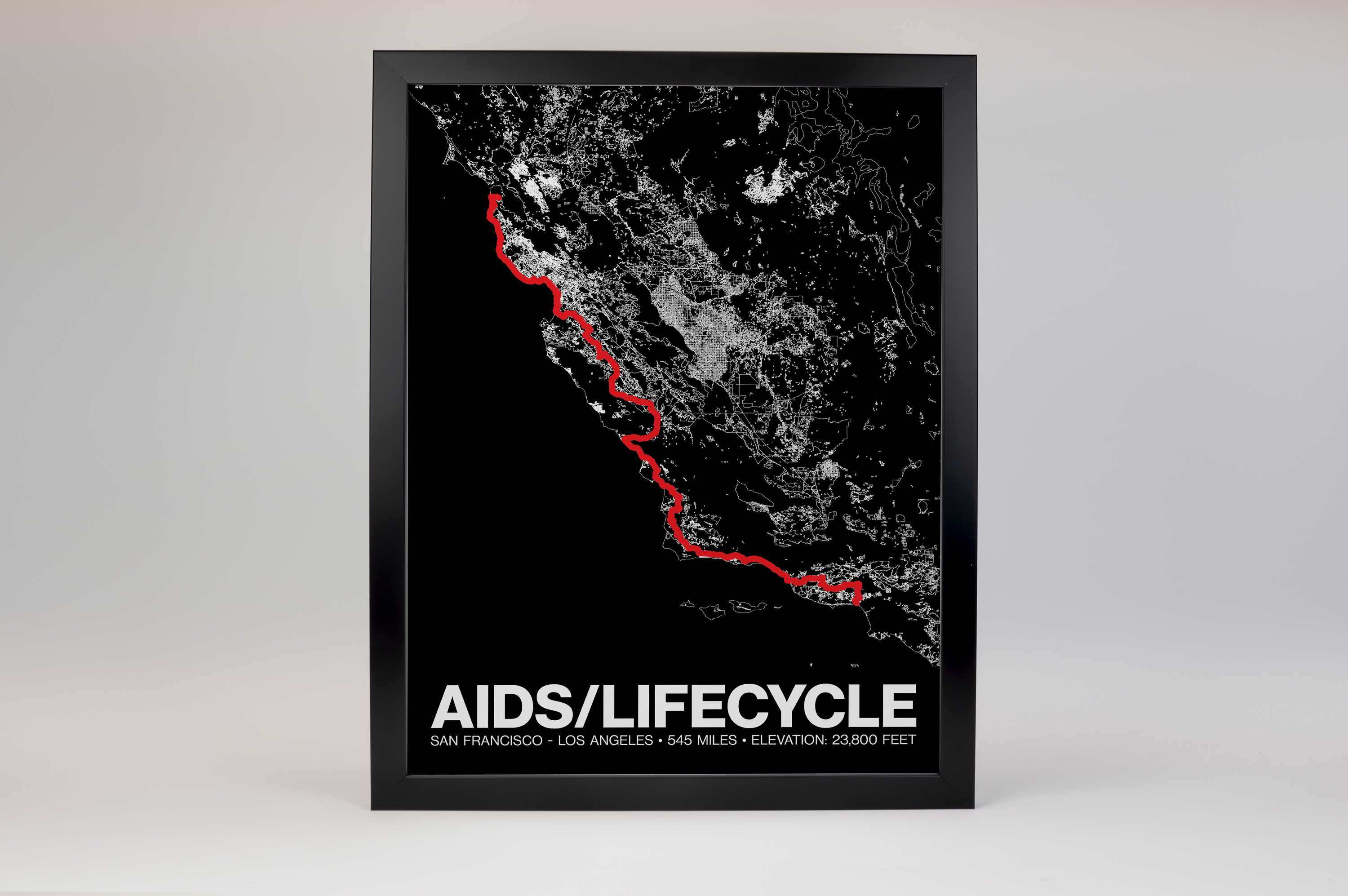 AIDS LifeCycle Poster - Grid Style