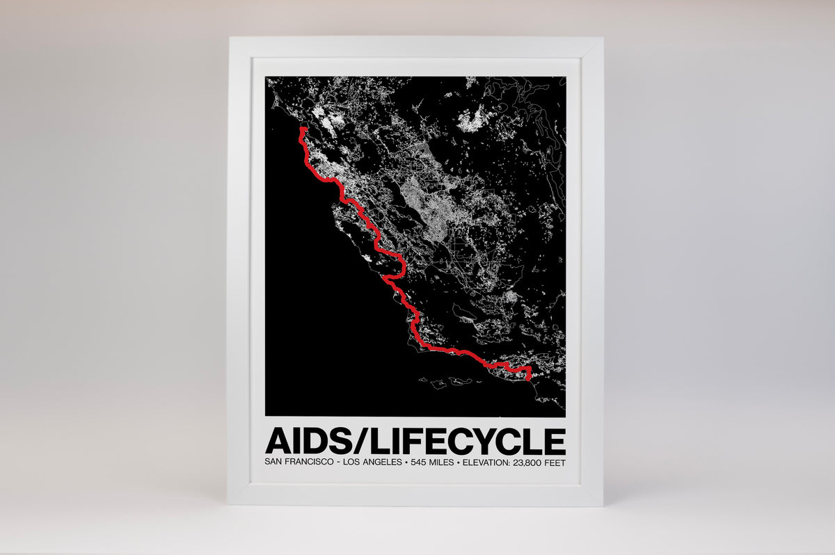 AIDS LifeCycle Poster - Grid Style