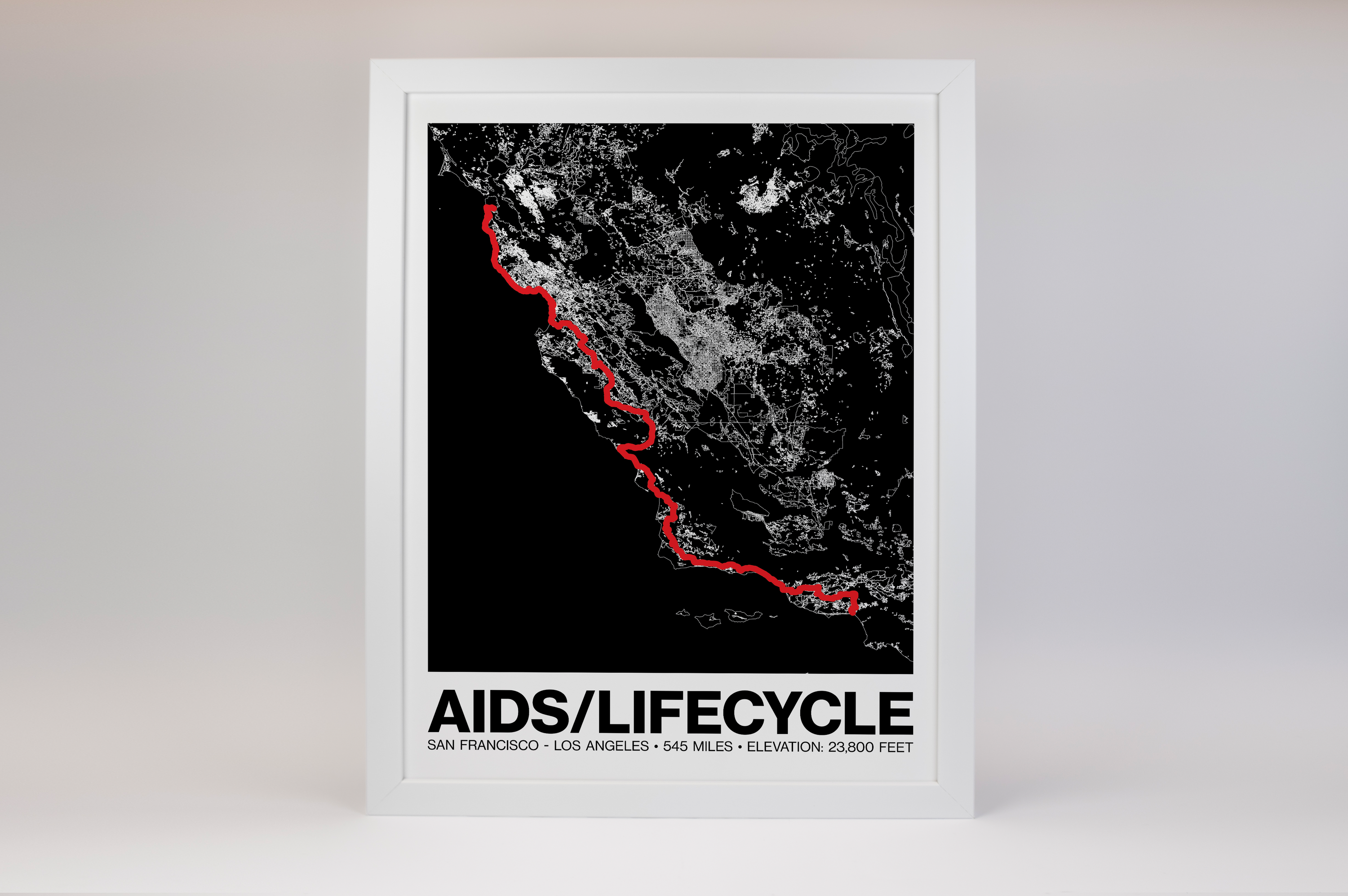 AIDS LifeCycle Poster - Grid Style