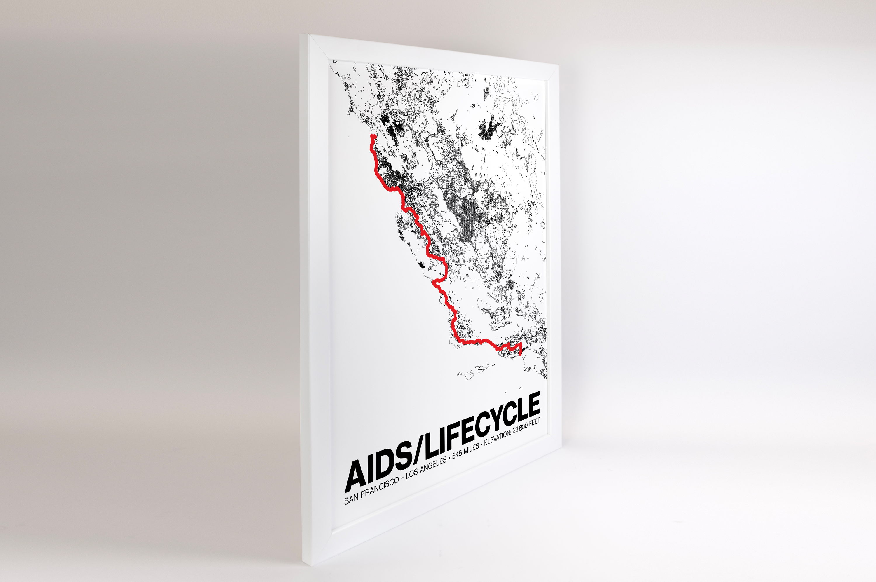 AIDS LifeCycle Poster - Grid Style