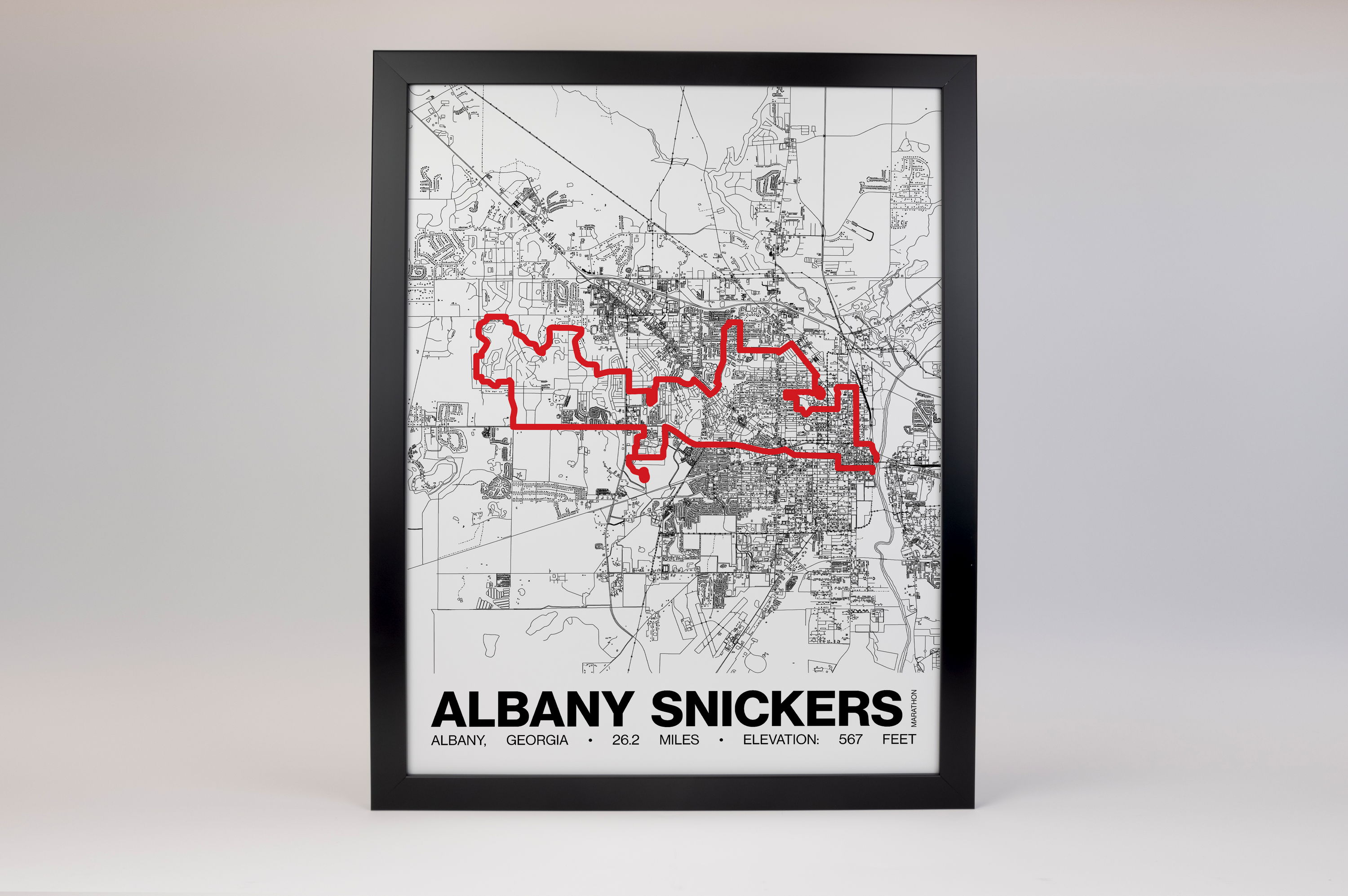 Albany Snickers Marathon Poster - Grid Style