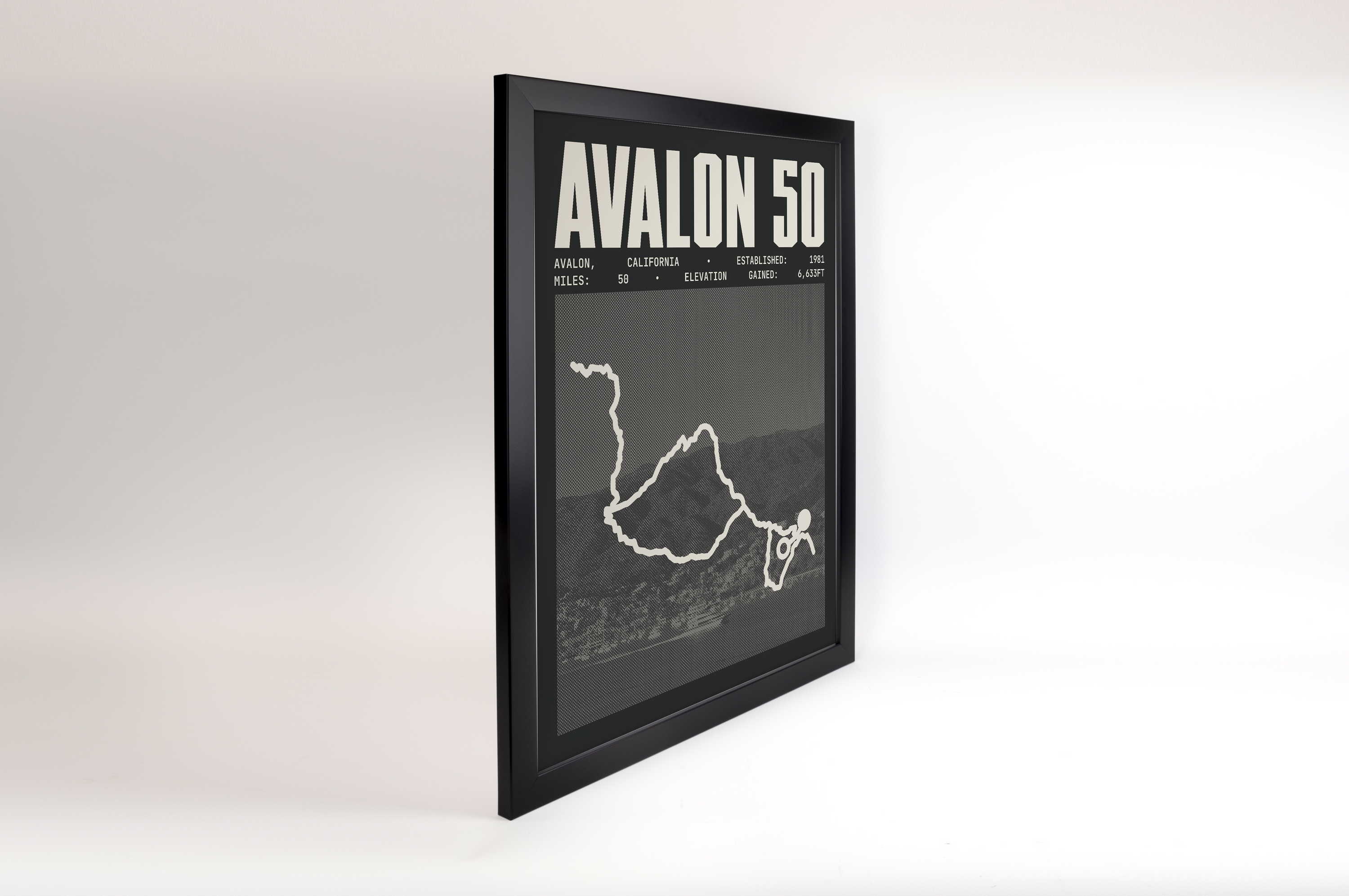 Avalon 50 Endurance Run Poster