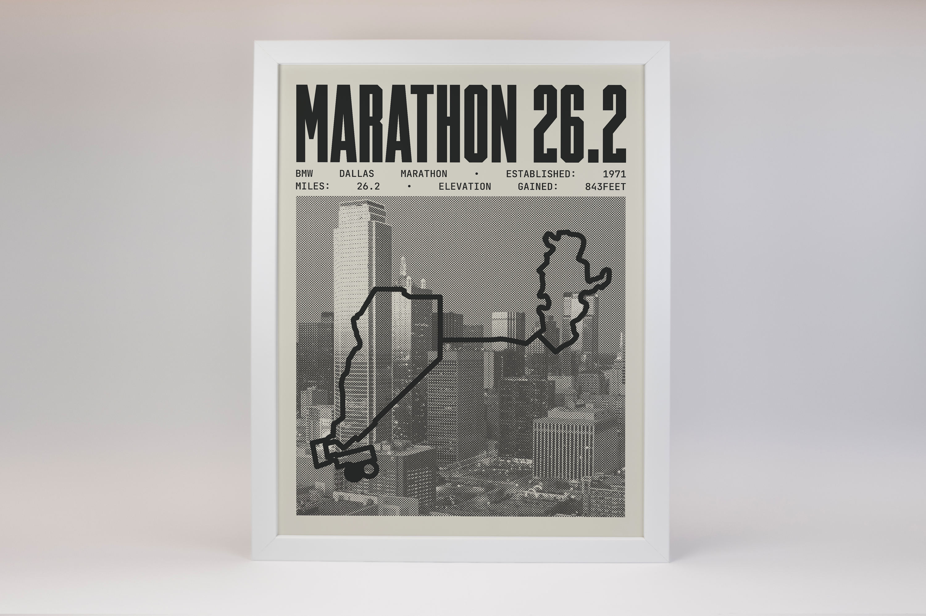 BMW Dallas Marathon Poster