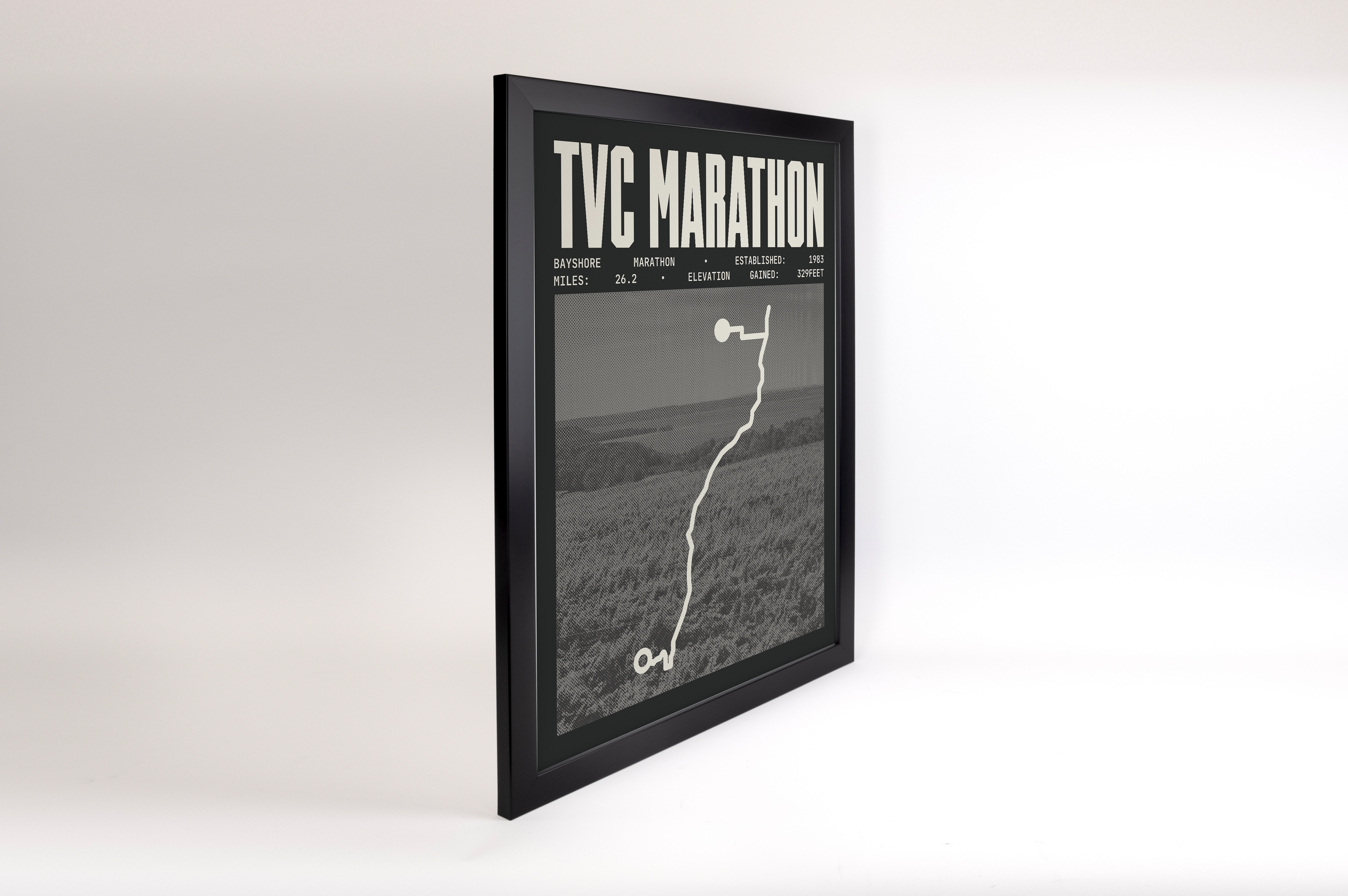 Bayshore Marathon Poster