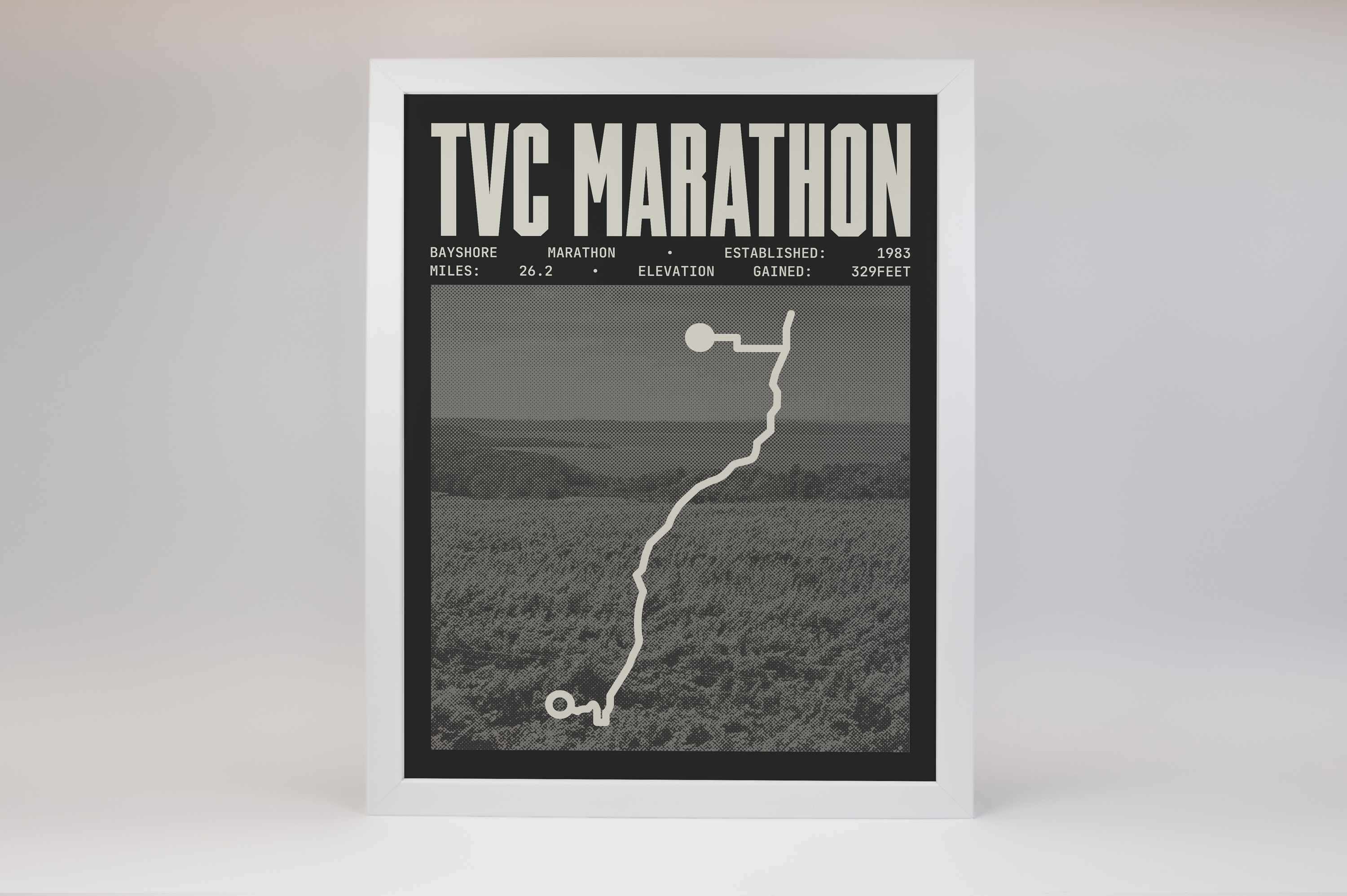 Bayshore Marathon Poster