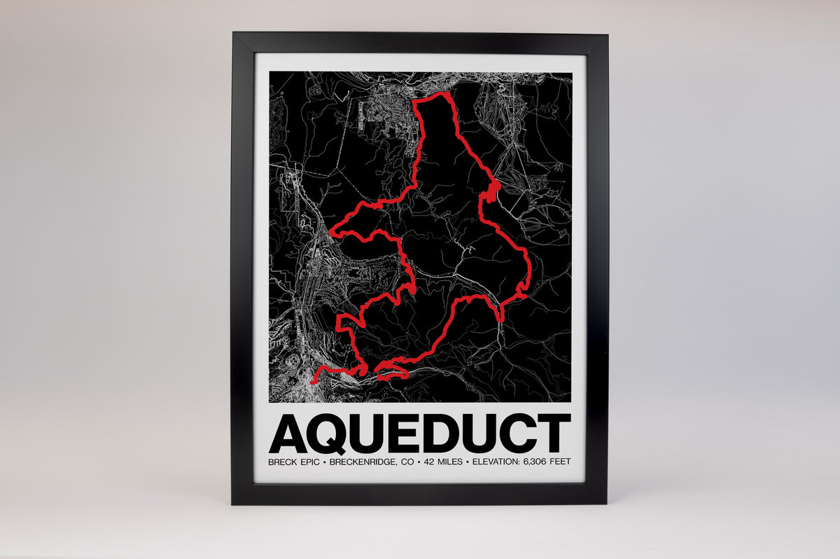 Breck Epic Aqueduct Poster - Grid Style