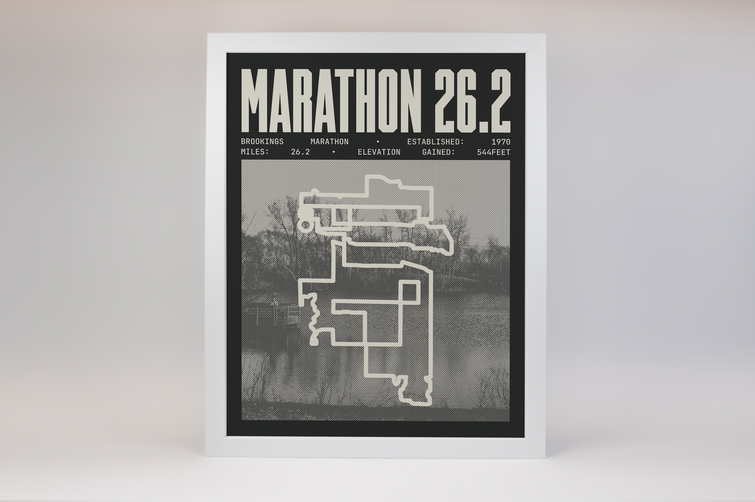 Brookings Marathon Poster
